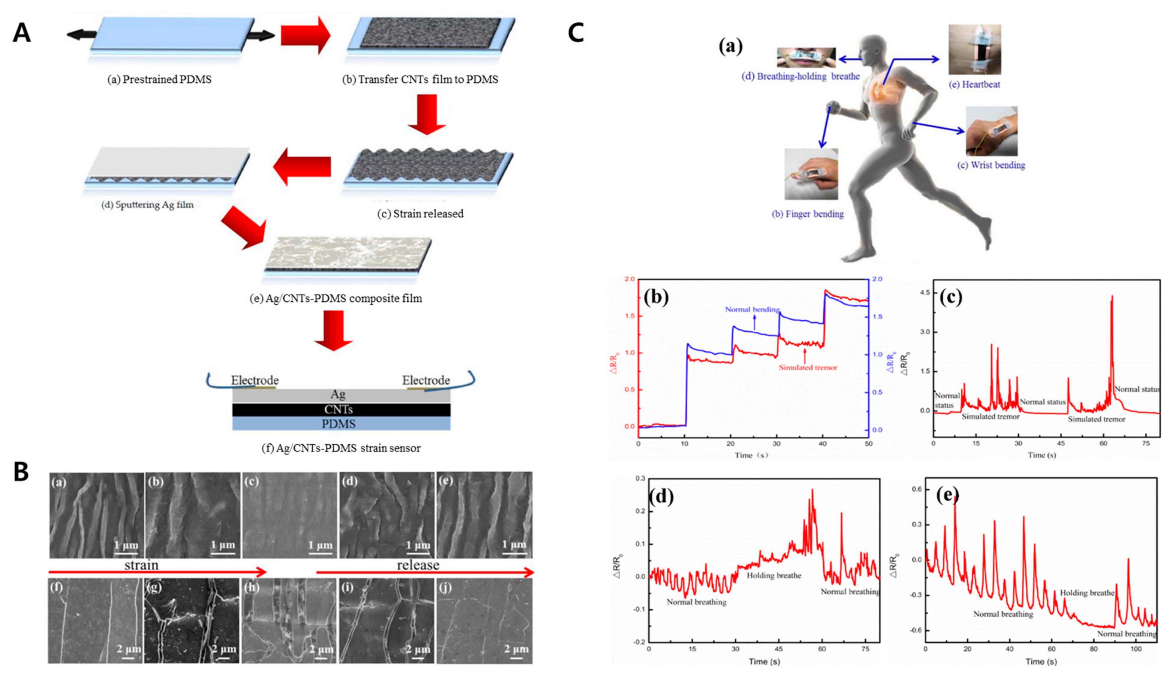 Biomimetics 09 00395 g011 Biomimetics 09 00395 g011