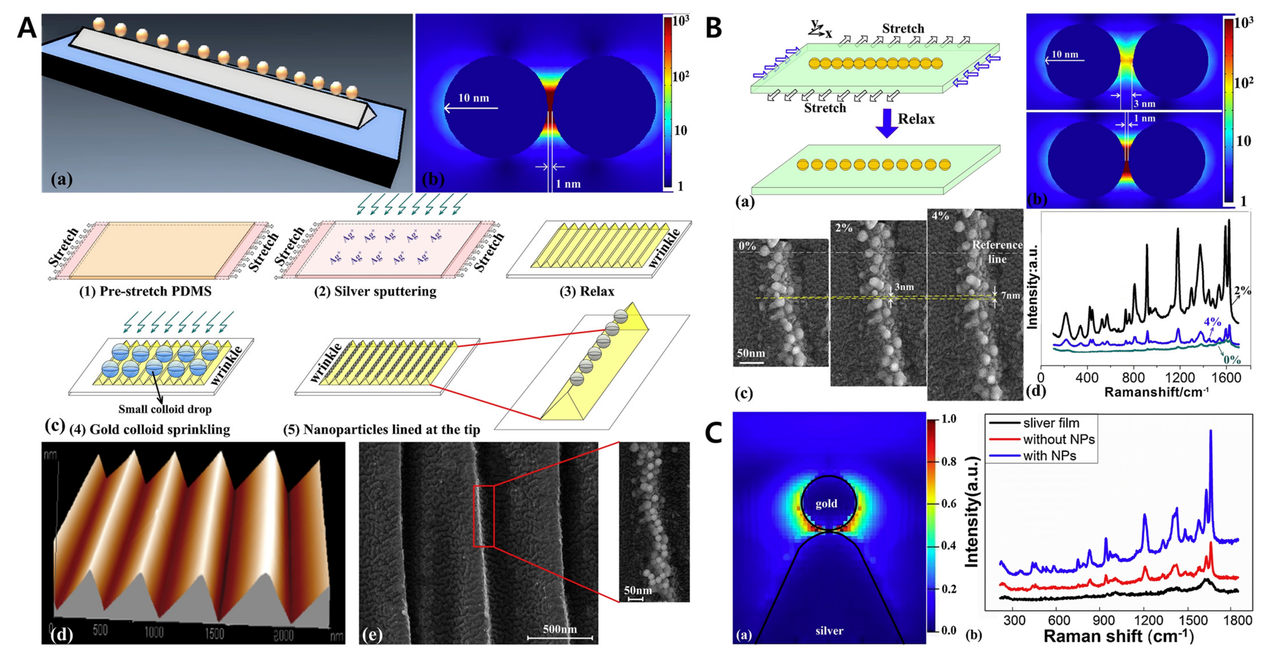 Biomimetics 09 00395 g012 Biomimetics 09 00395 g012