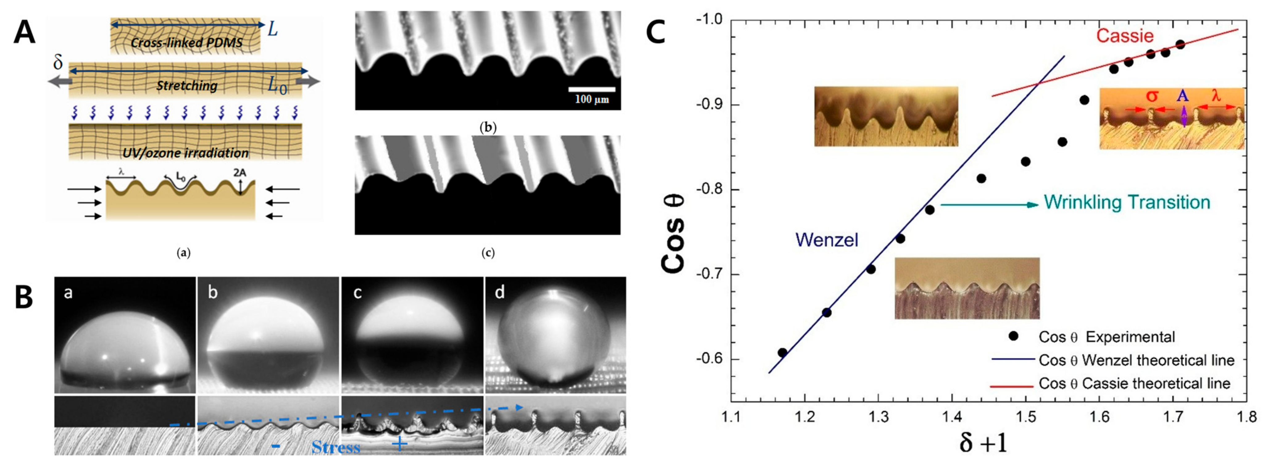 Biomimetics 09 00395 g013 Biomimetics 09 00395 g013
