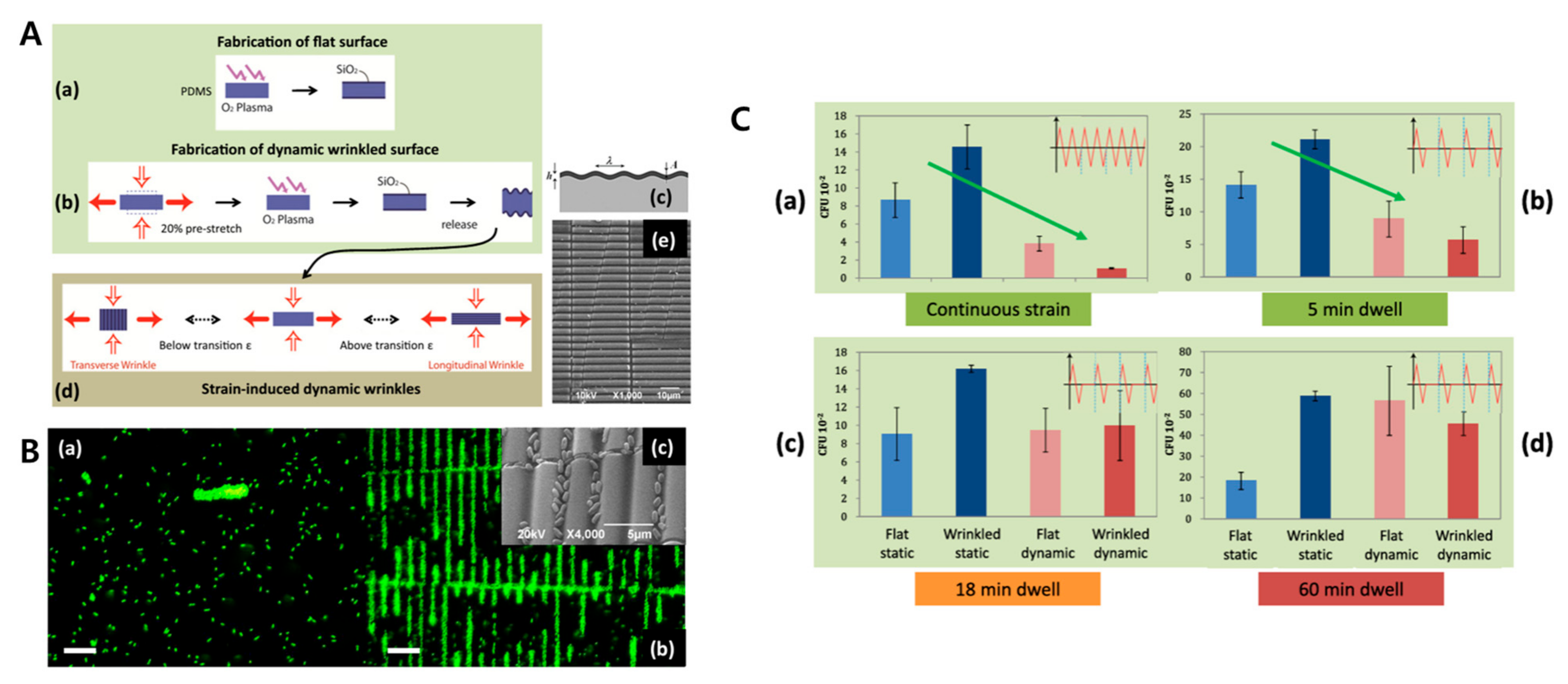 Biomimetics 09 00395 g014 Biomimetics 09 00395 g014