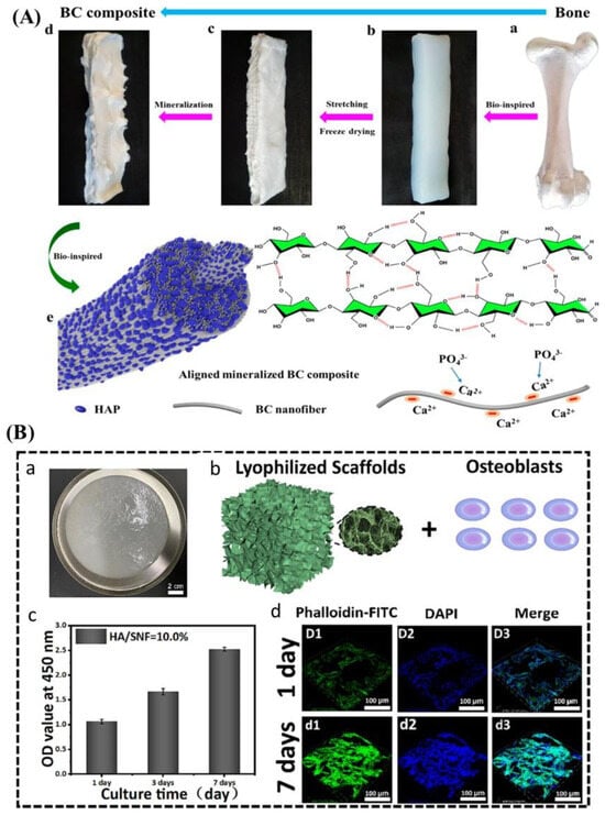 Biomimetics 09 00397 g001