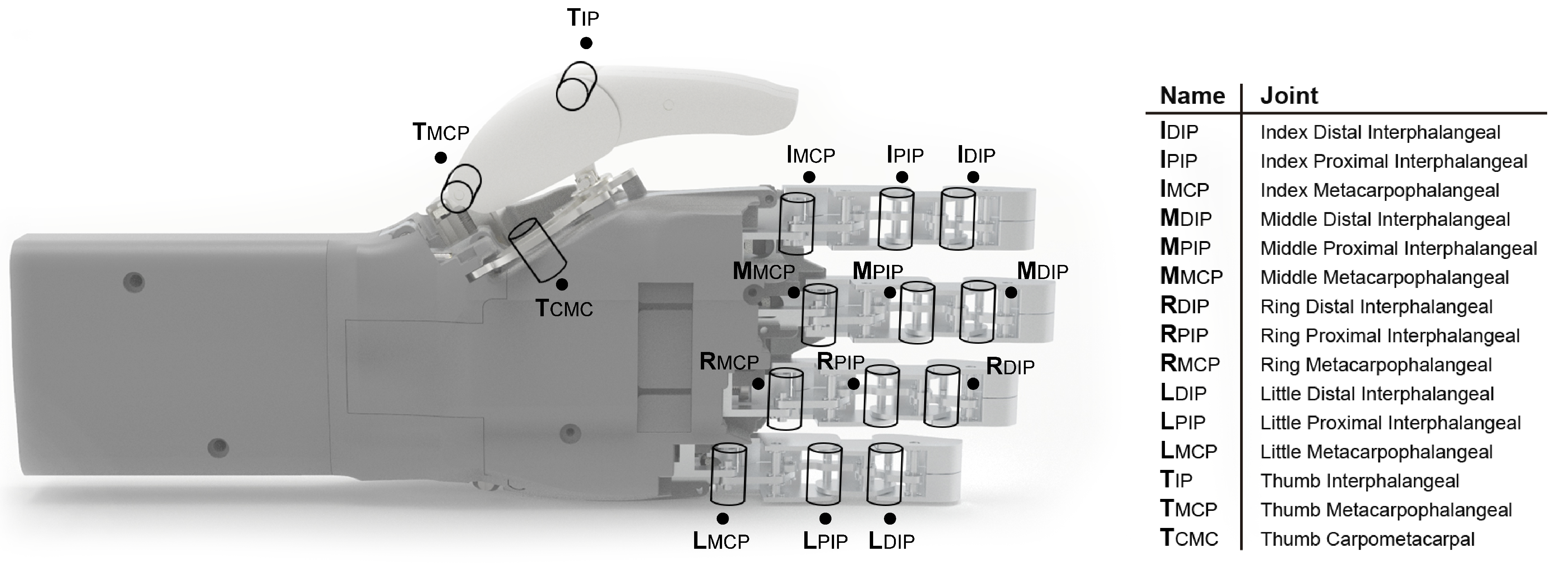 Biomimetics 09 00401 g003