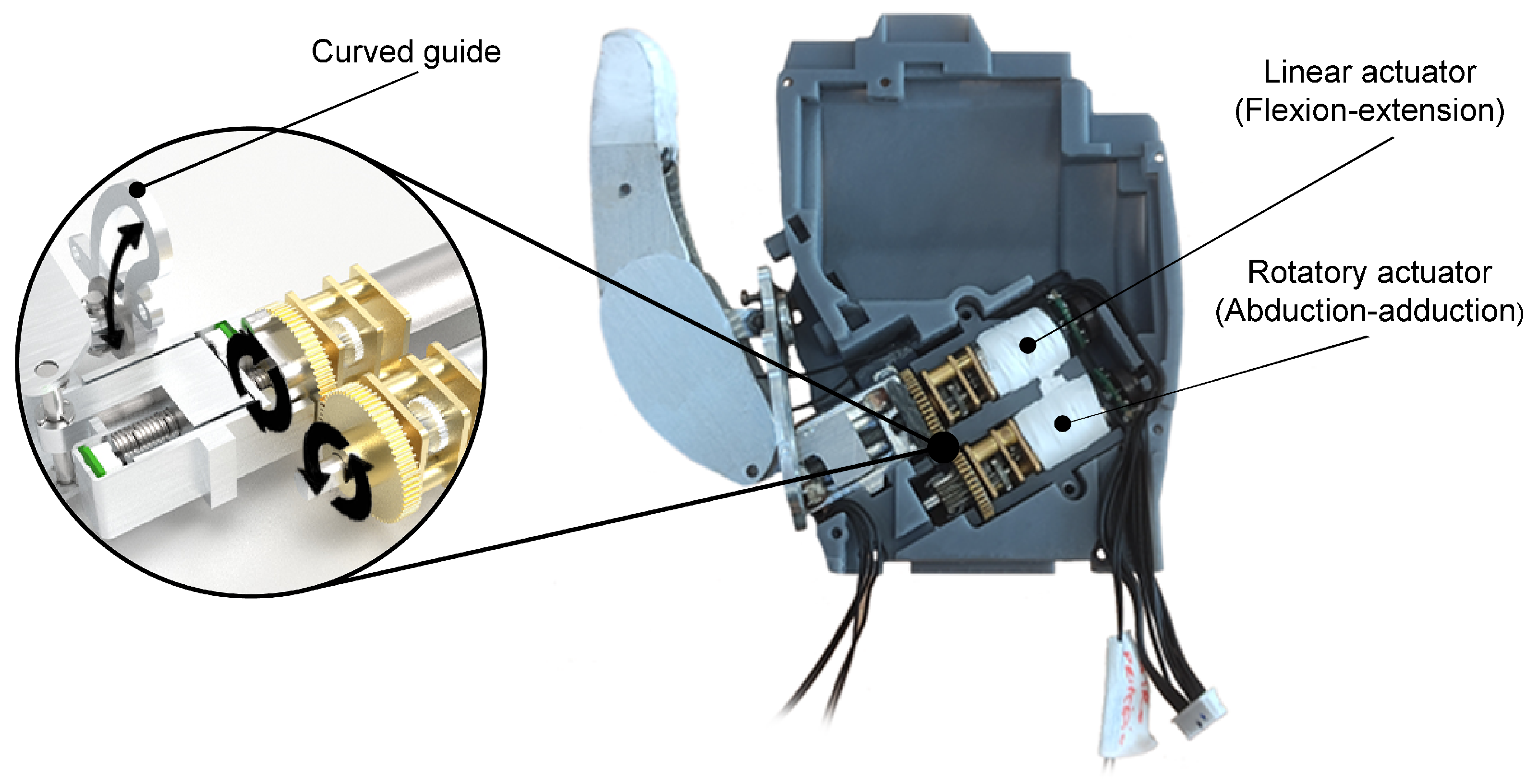 Biomimetics 09 00401 g007