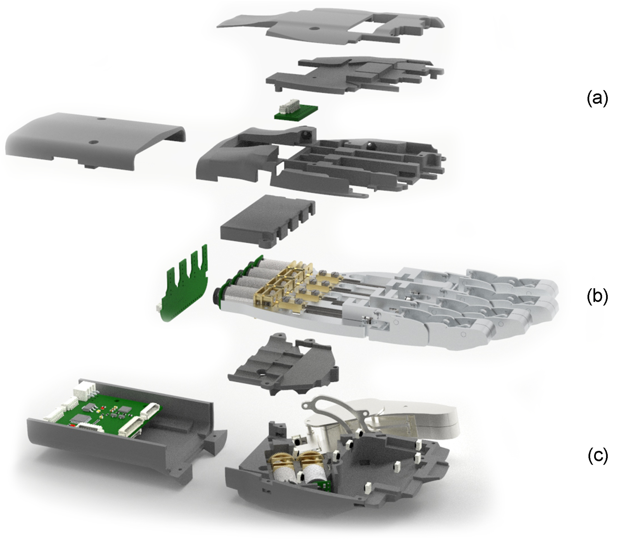 Biomimetics 09 00401 g008