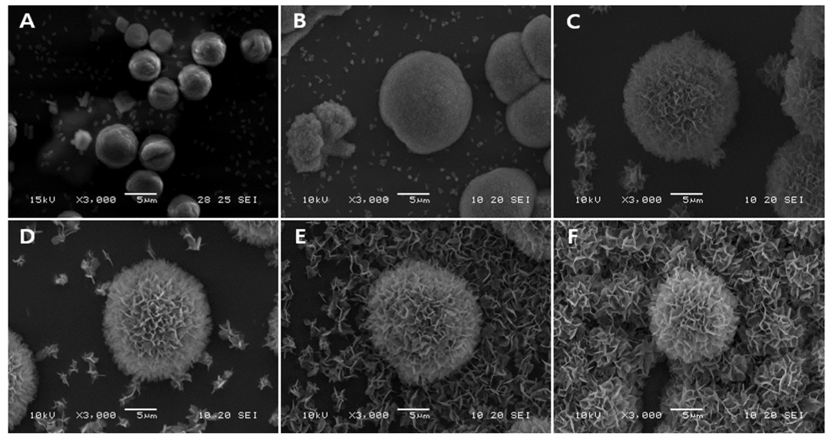 Biomimetics 09 00402 g004