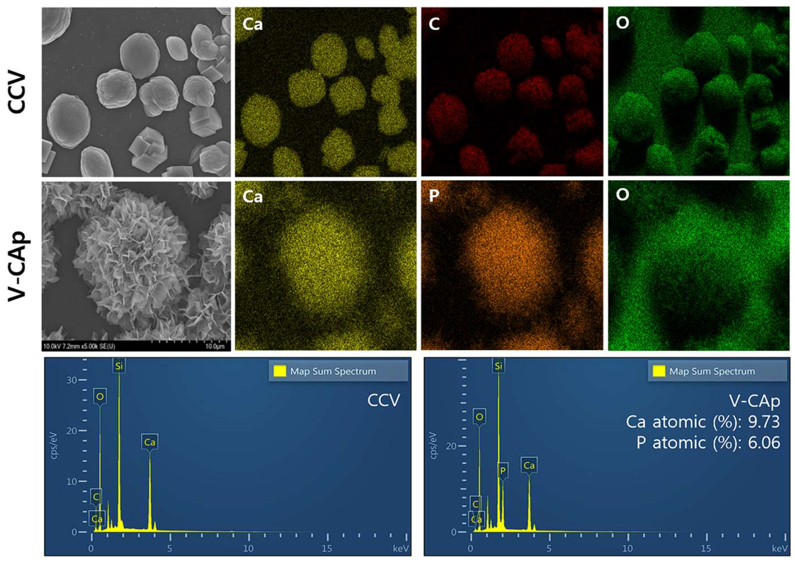 Biomimetics 09 00402 g005