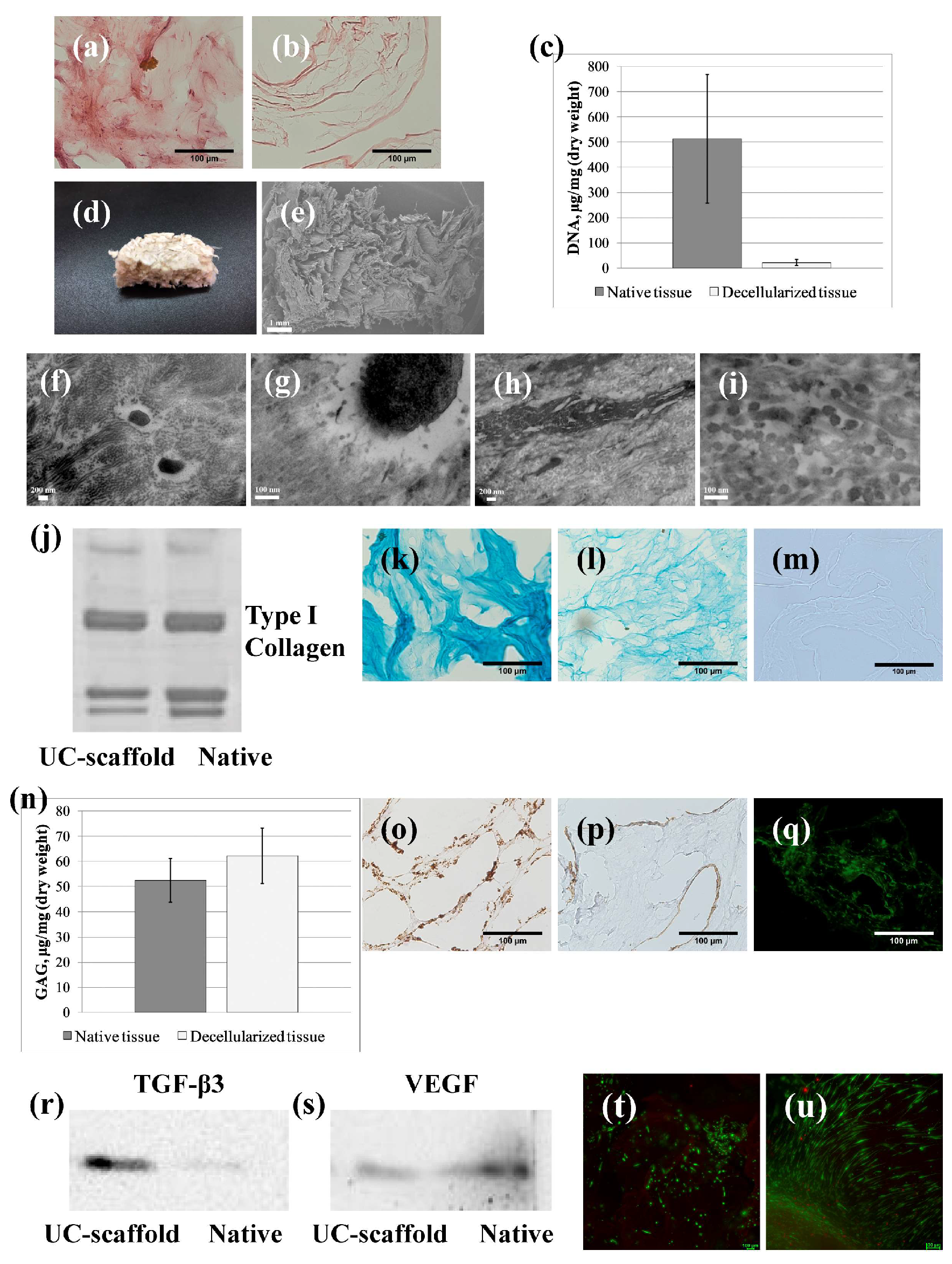 Biomimetics 09 00405 g002