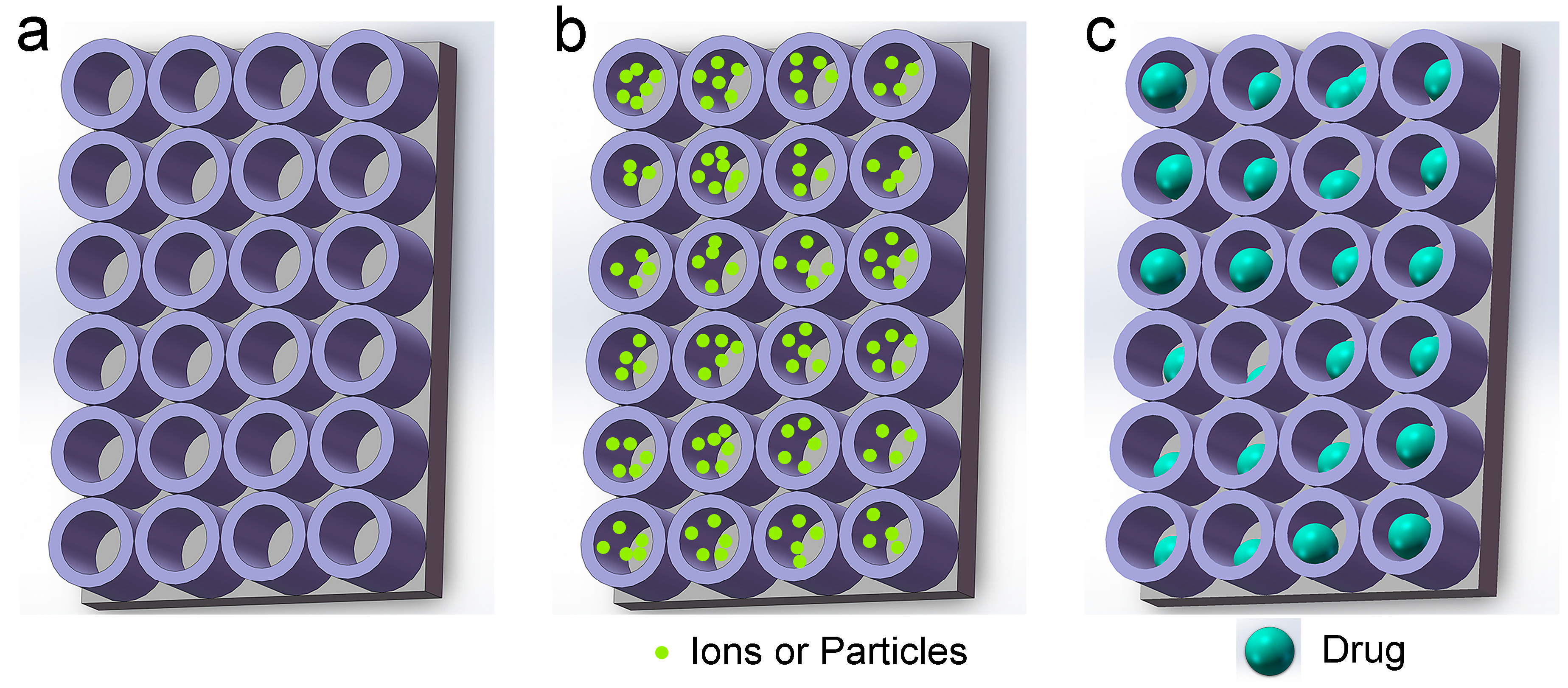 Biomimetics 09 00408 g002 Biomimetics 09 00408 g002