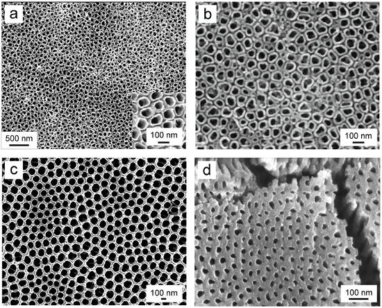 Biomimetics 09 00408 g004