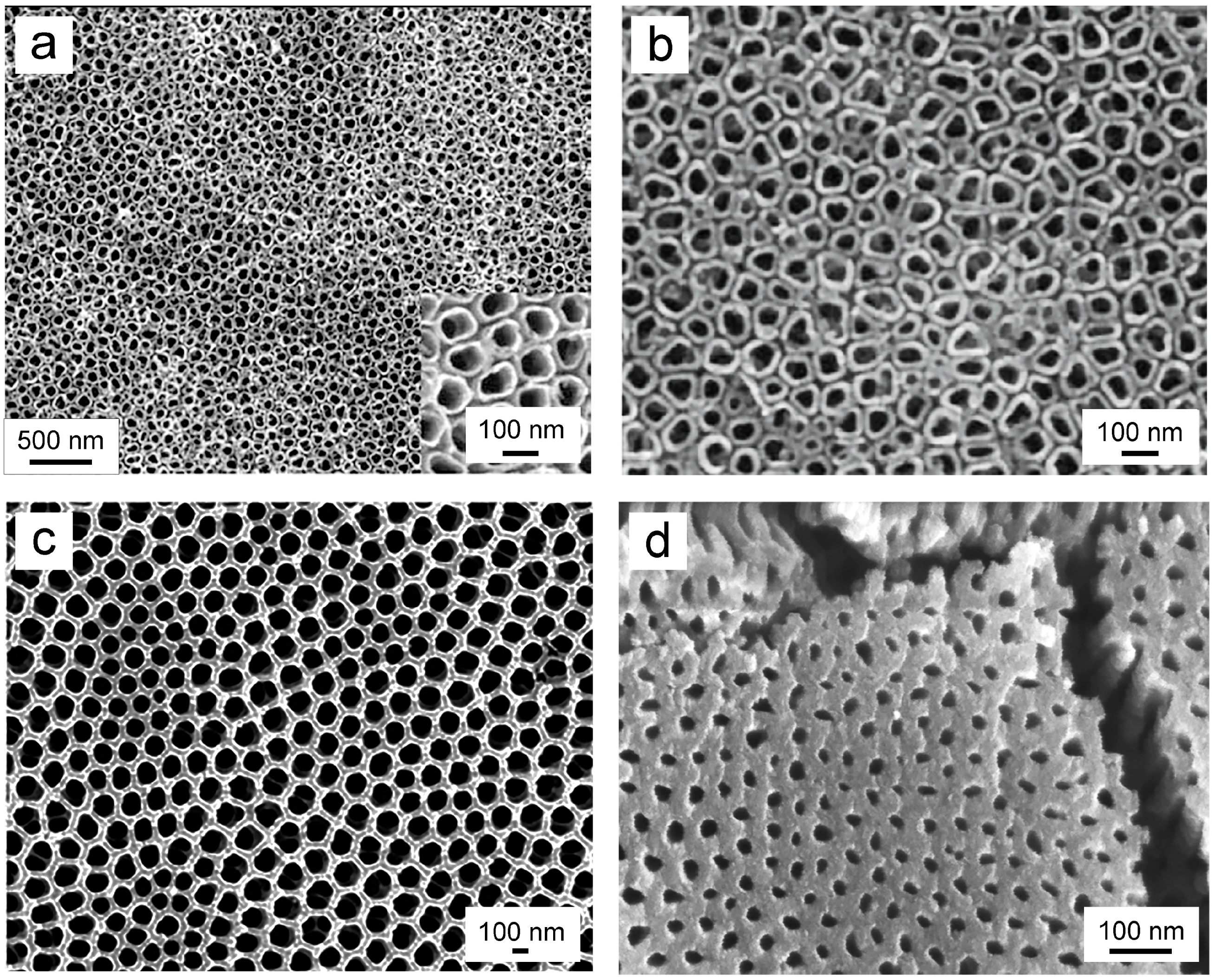 Biomimetics 09 00408 g004 Biomimetics 09 00408 g004