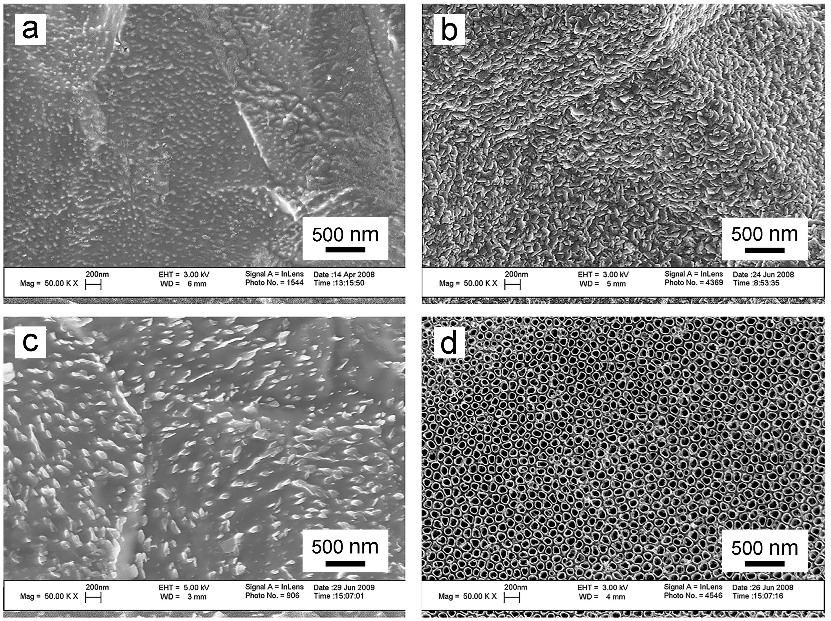 Biomimetics 09 00408 g006 Biomimetics 09 00408 g006