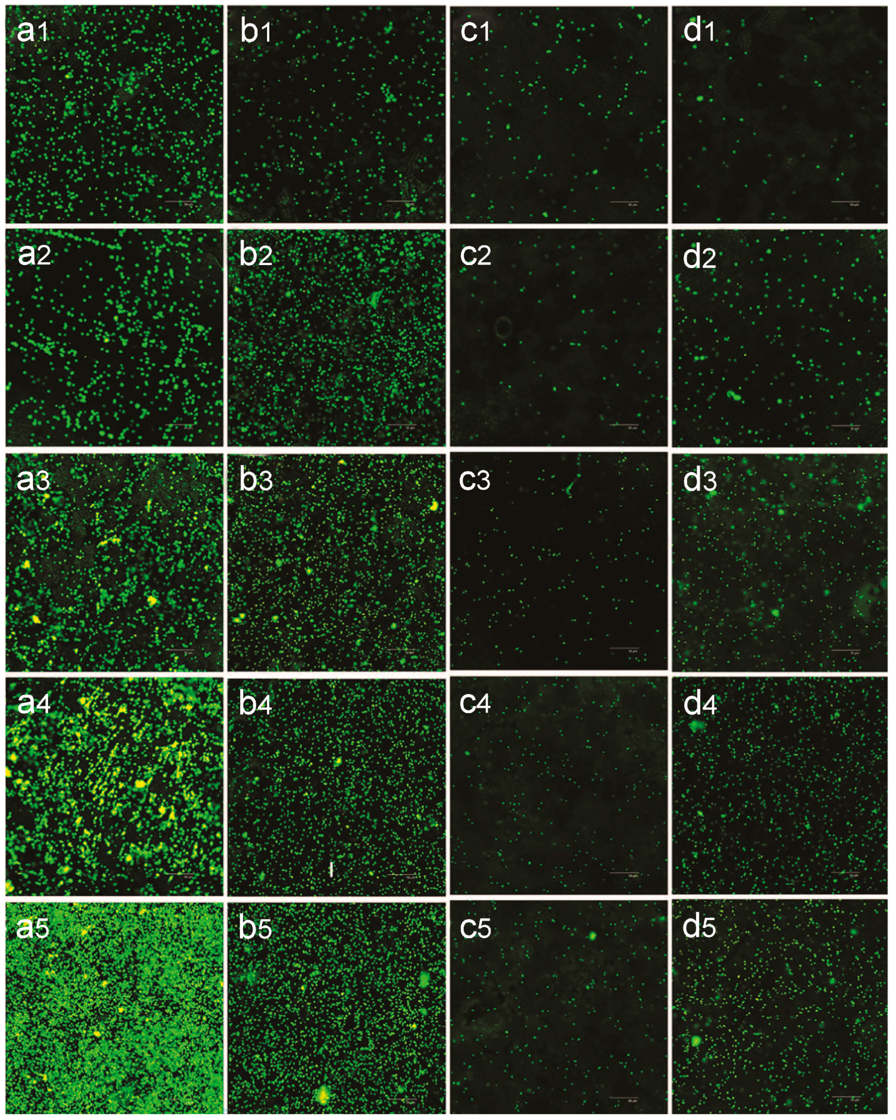 Biomimetics 09 00408 g007 Biomimetics 09 00408 g007