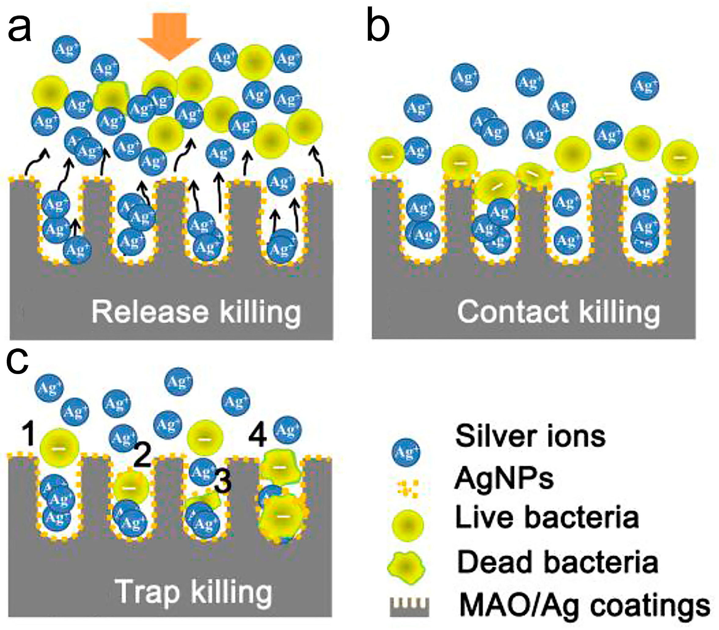 Biomimetics 09 00408 g009 Biomimetics 09 00408 g009