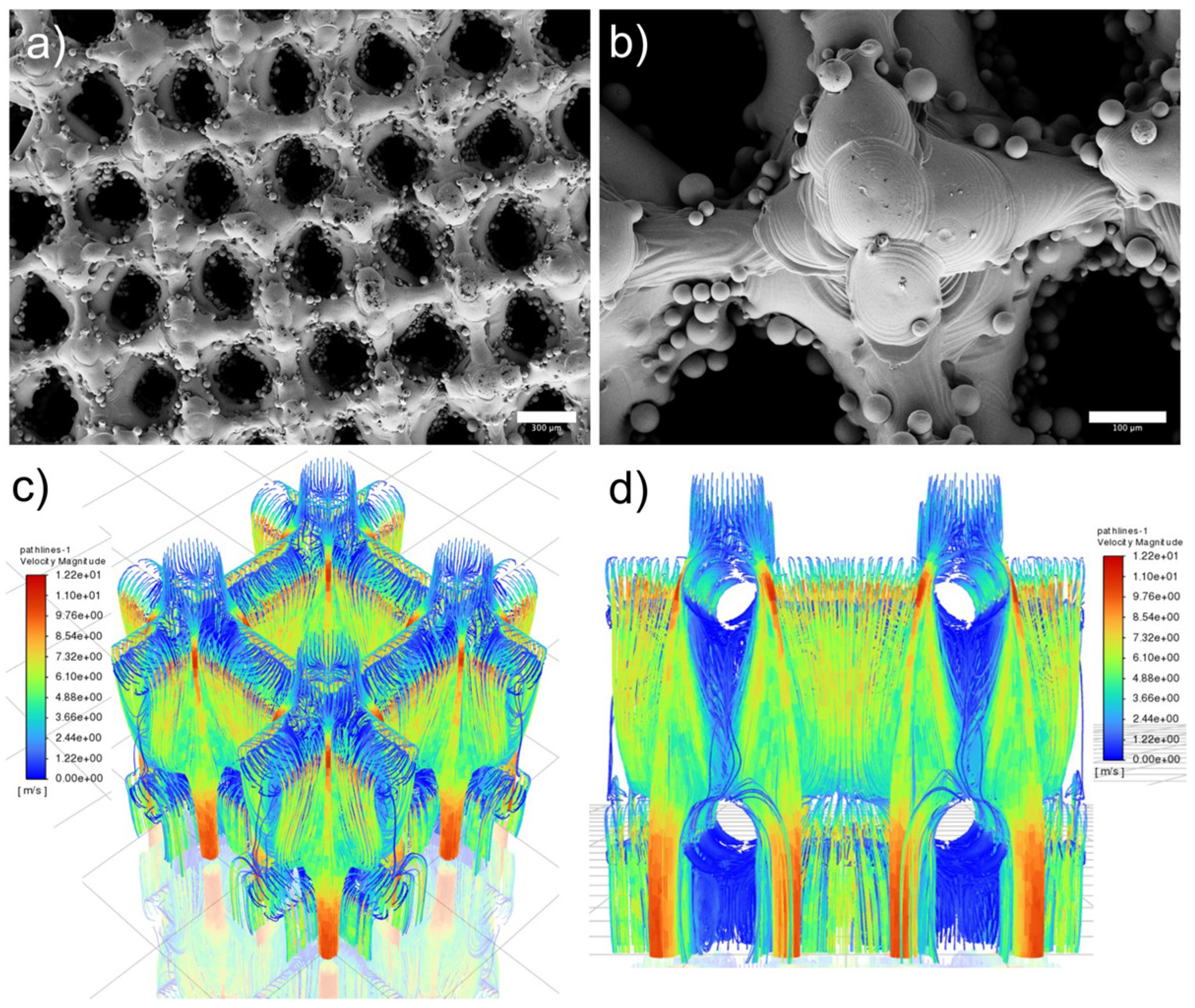 Biomimetics 09 00423 g003