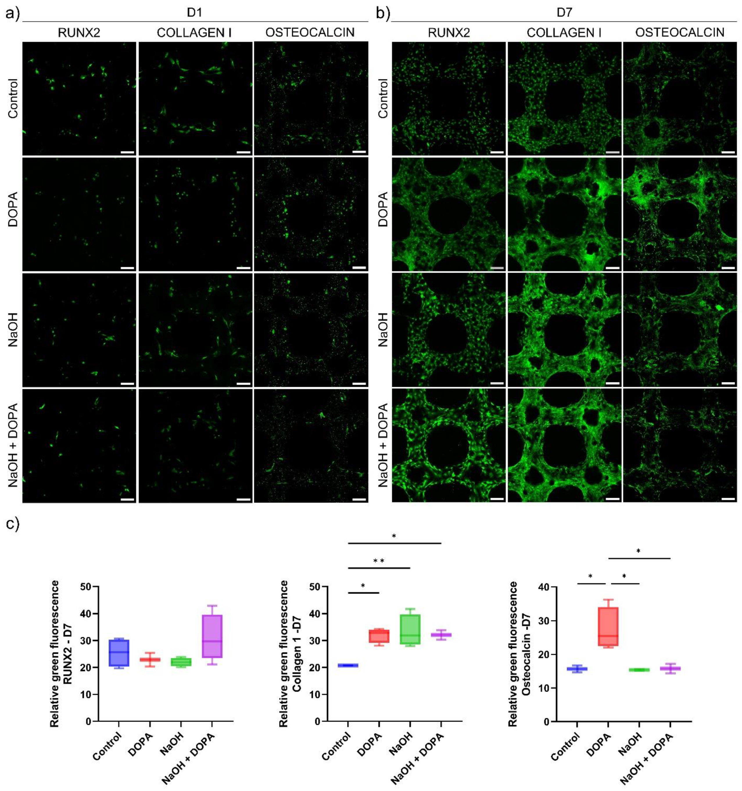 Biomimetics 09 00423 g007