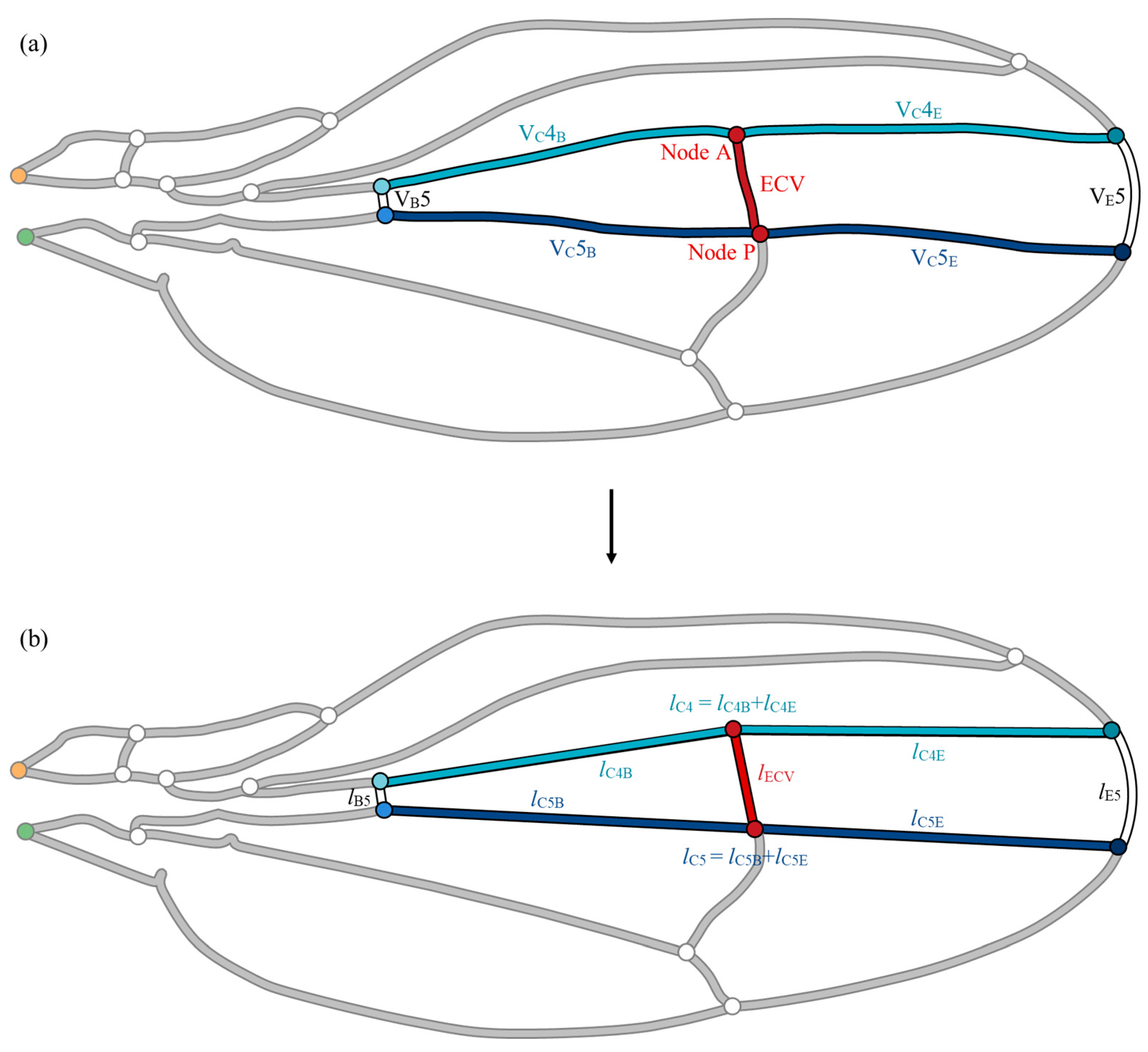Biomimetics 09 00451 g004