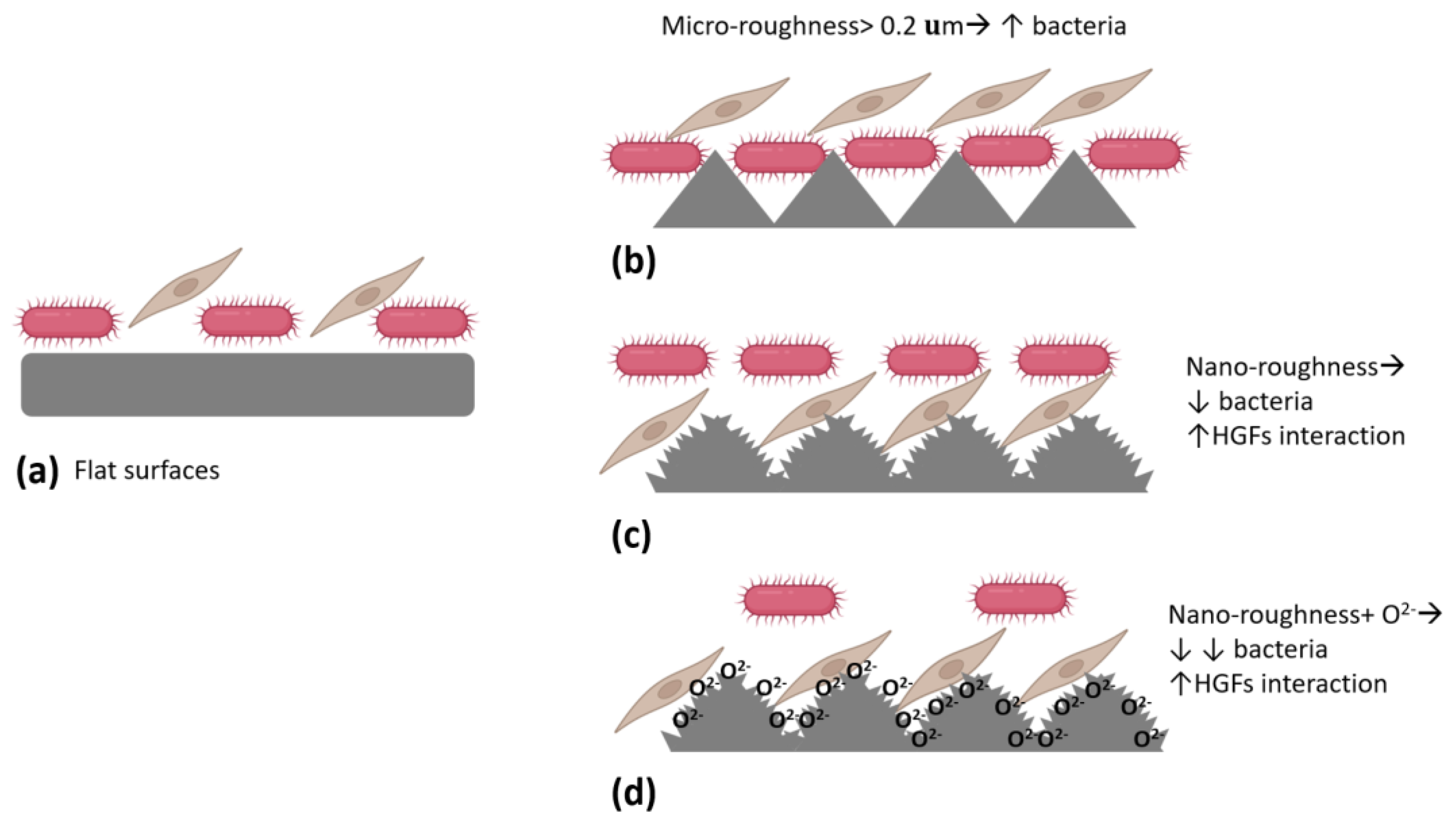 Biomimetics 09 00461 g002