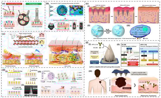 Biomimetics 09 00469 g010