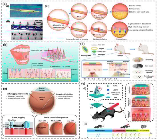 Biomimetics 09 00469 g012