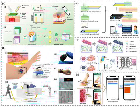 Biomimetics 09 00469 g014
