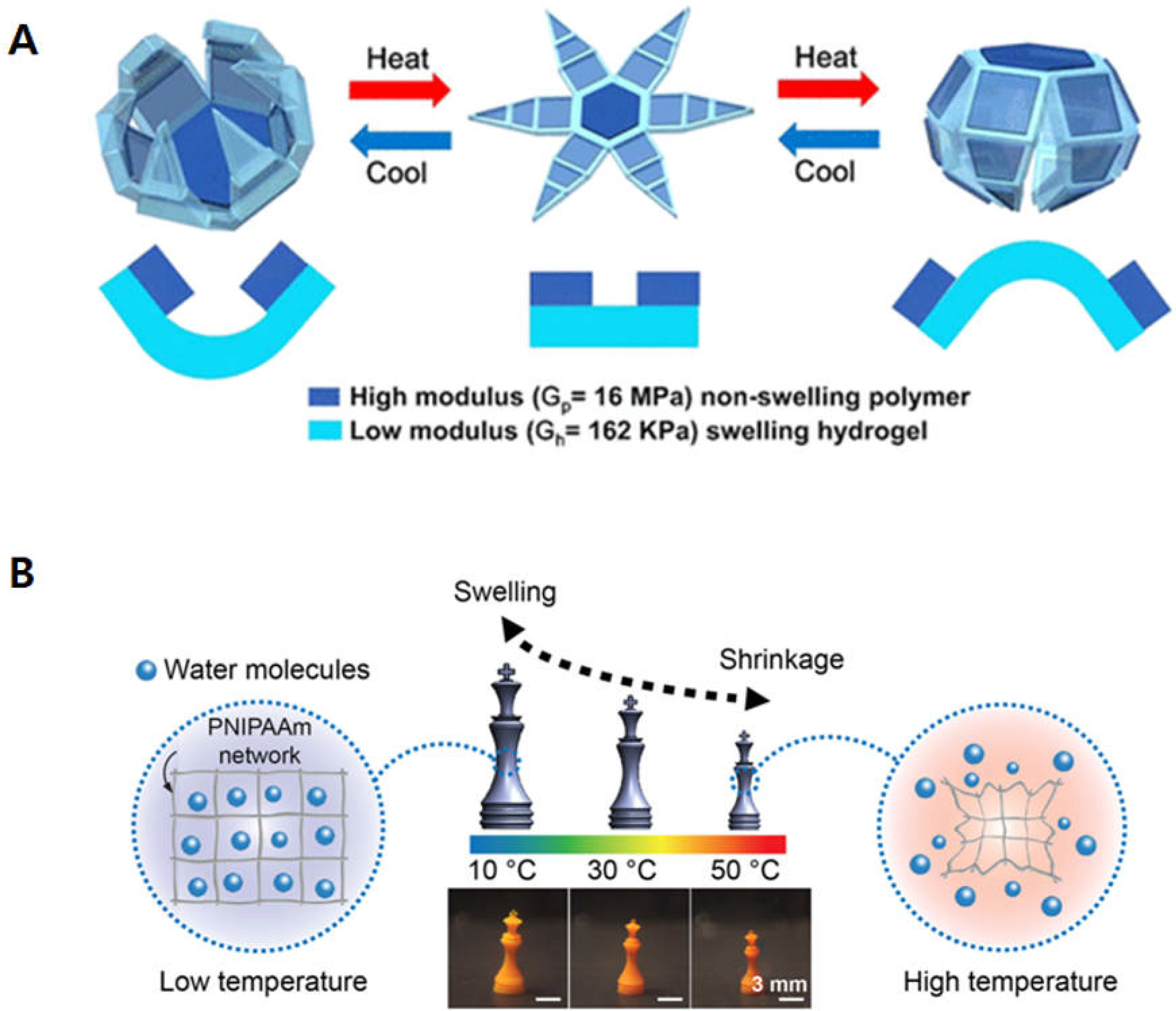 Biomimetics 09 00484 g002