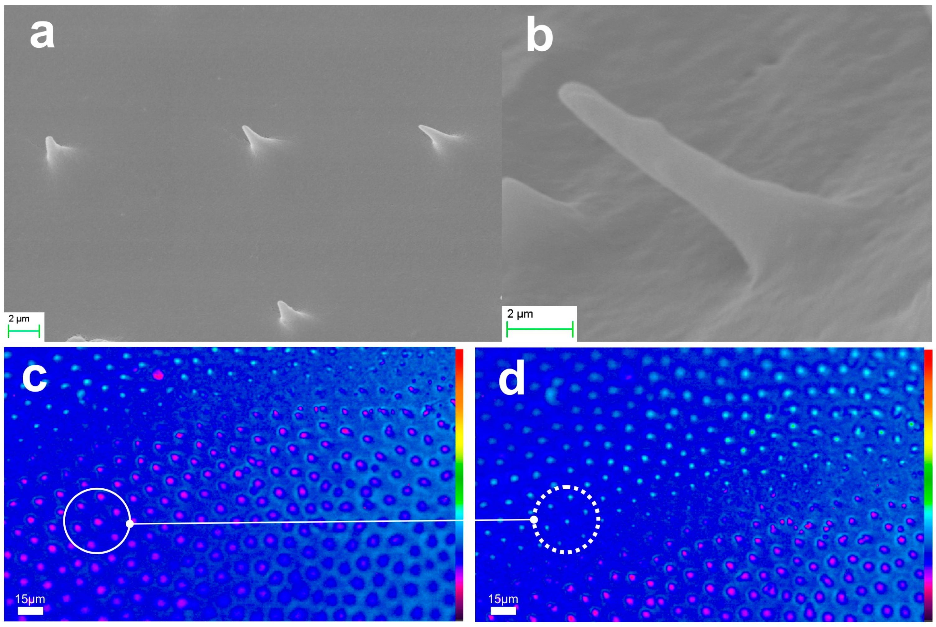 Biomimetics 09 00487 g009