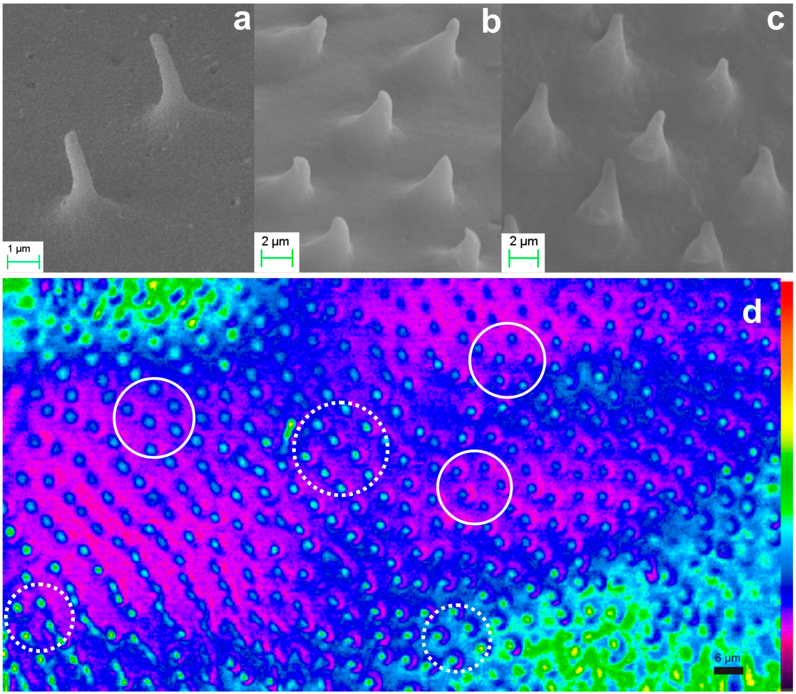 Biomimetics 09 00487 g010