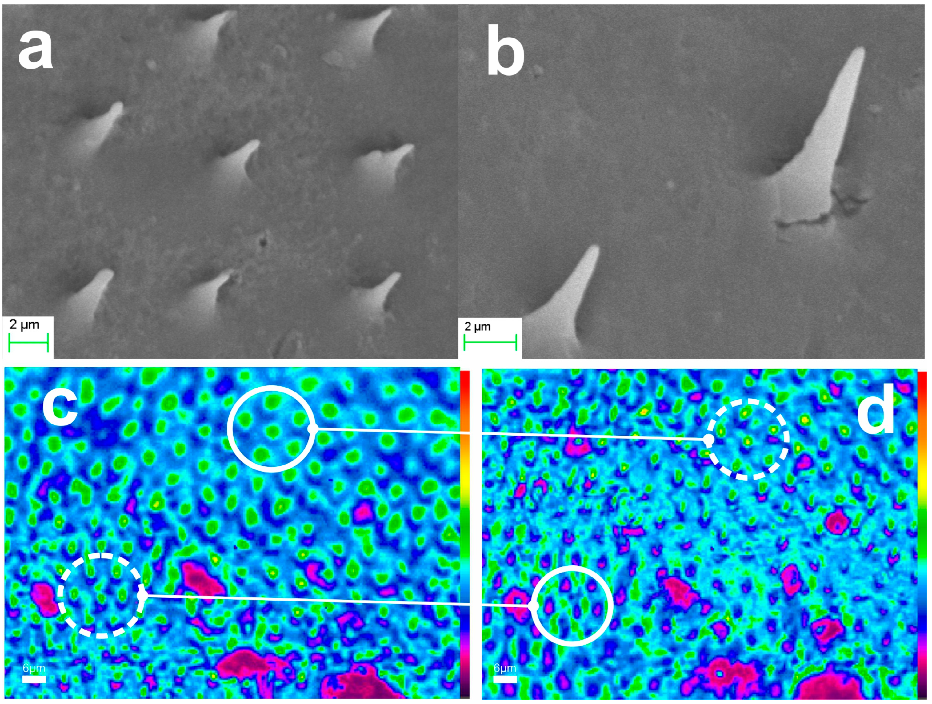 Biomimetics 09 00487 g011