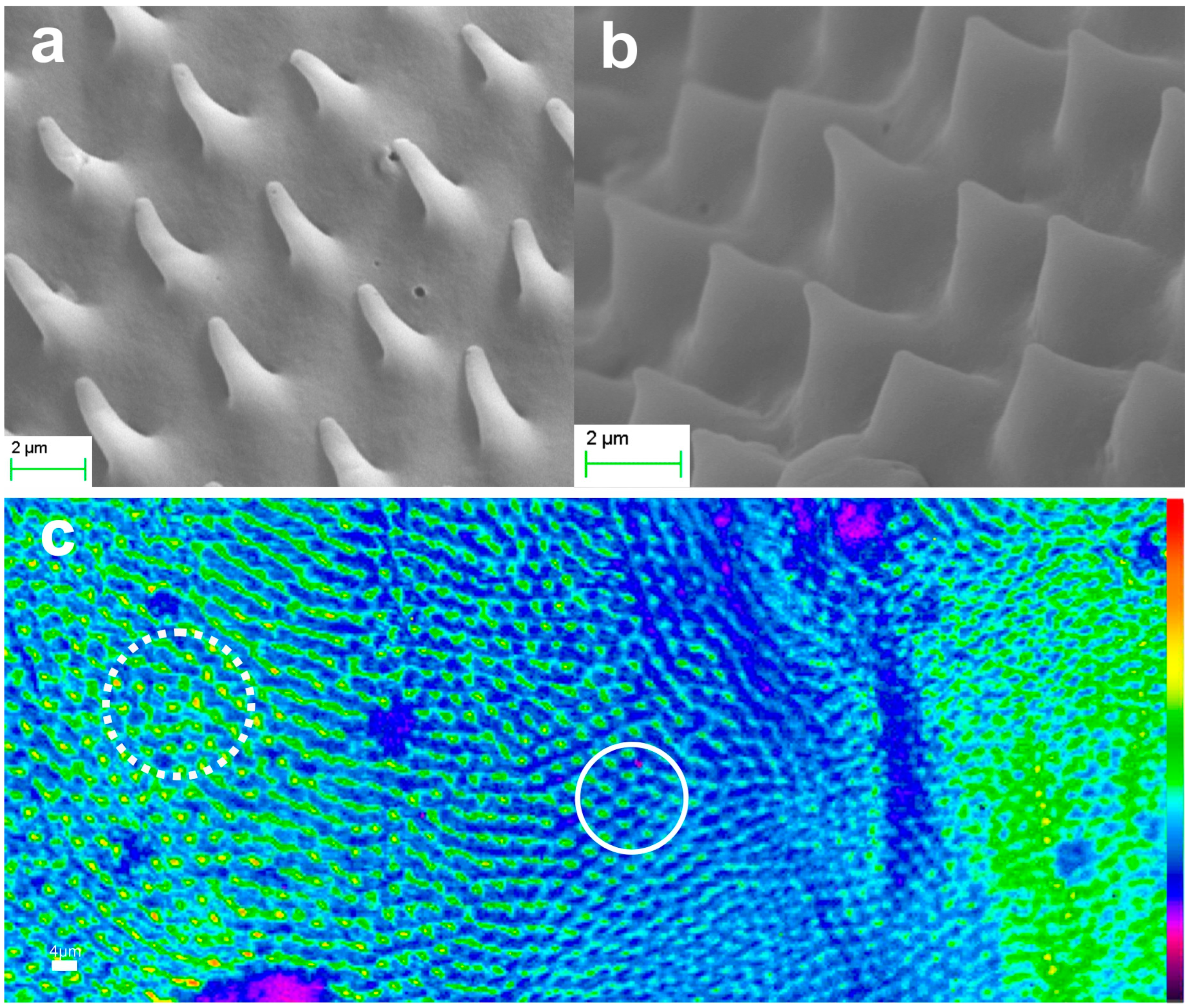 Biomimetics 09 00487 g013
