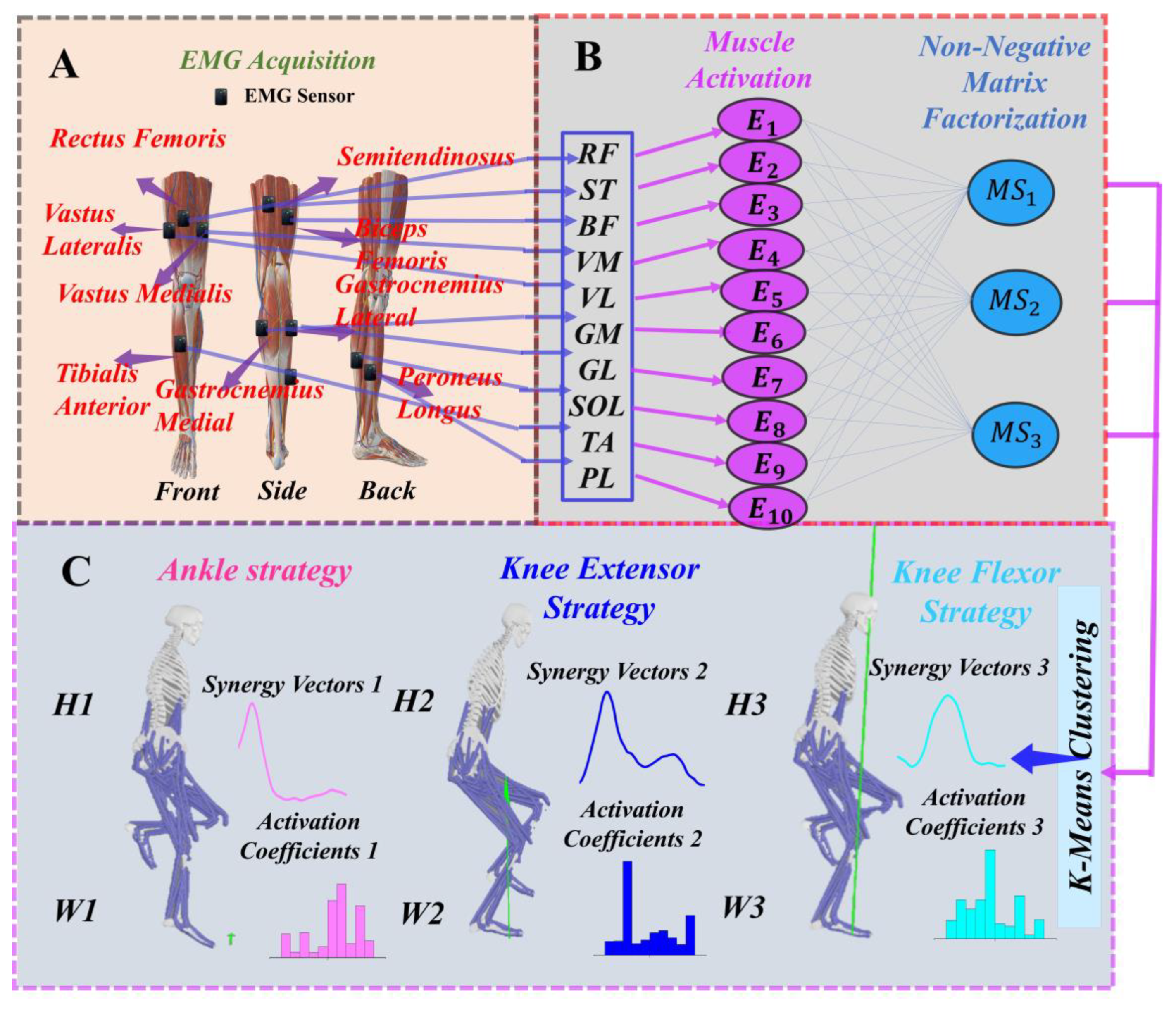 Biomimetics 09 00489 g003