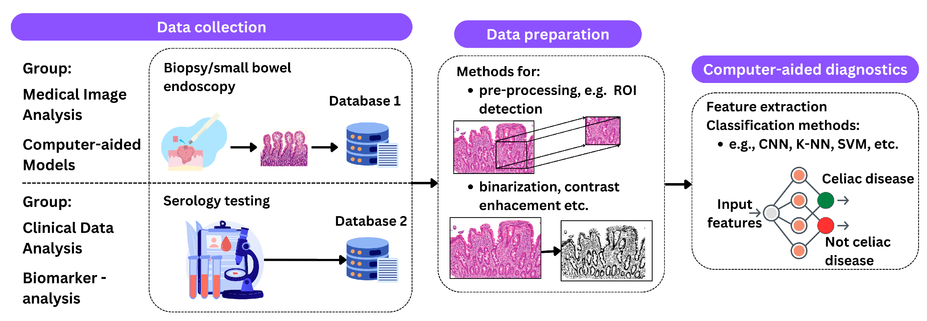 Biomimetics 09 00493 g004