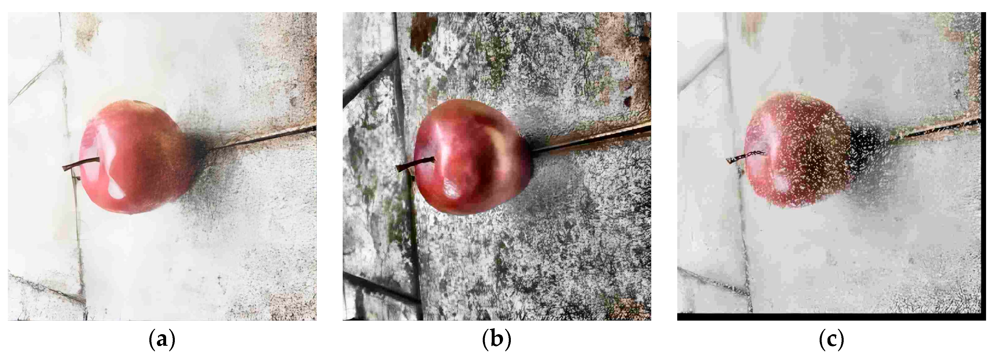 Biomimetics 09 00495 g003a