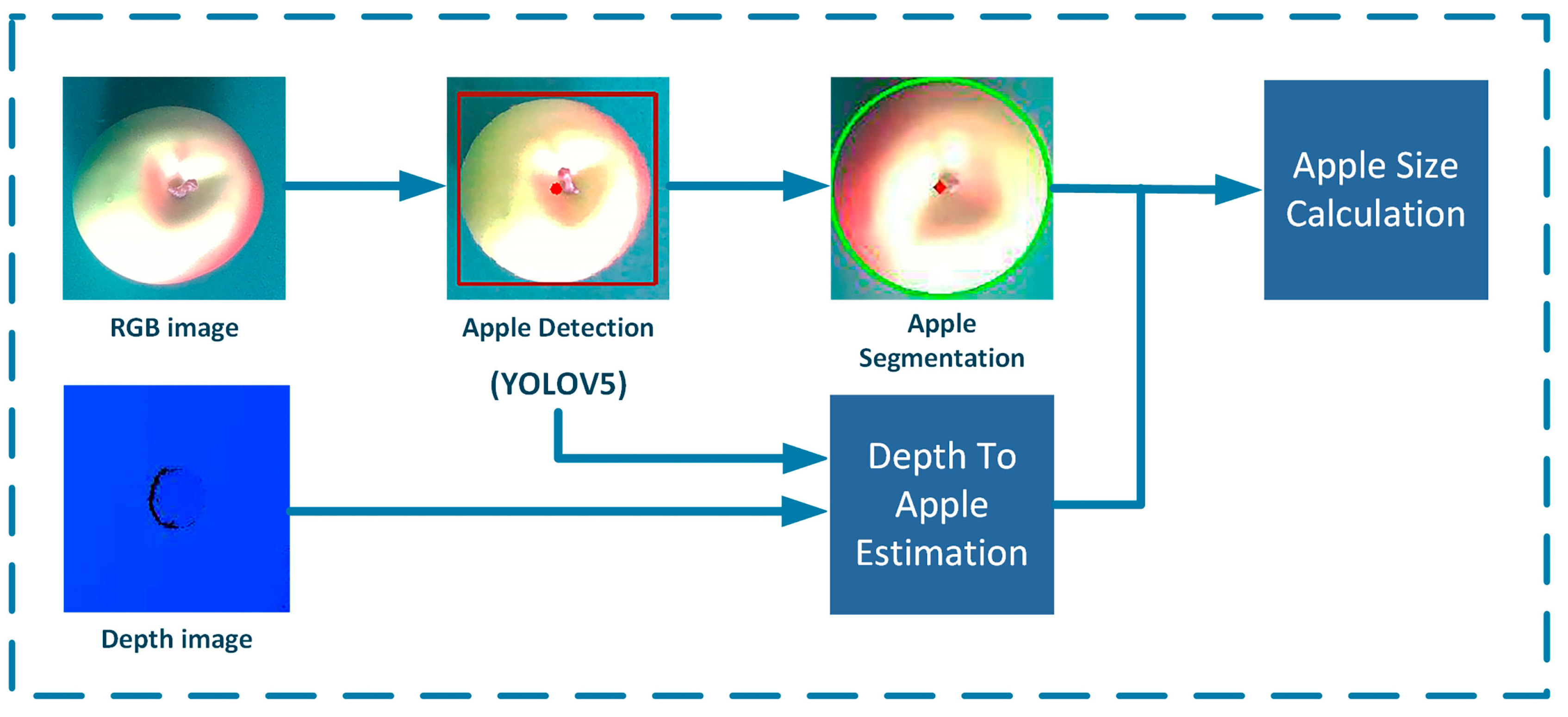 Biomimetics 09 00495 g005