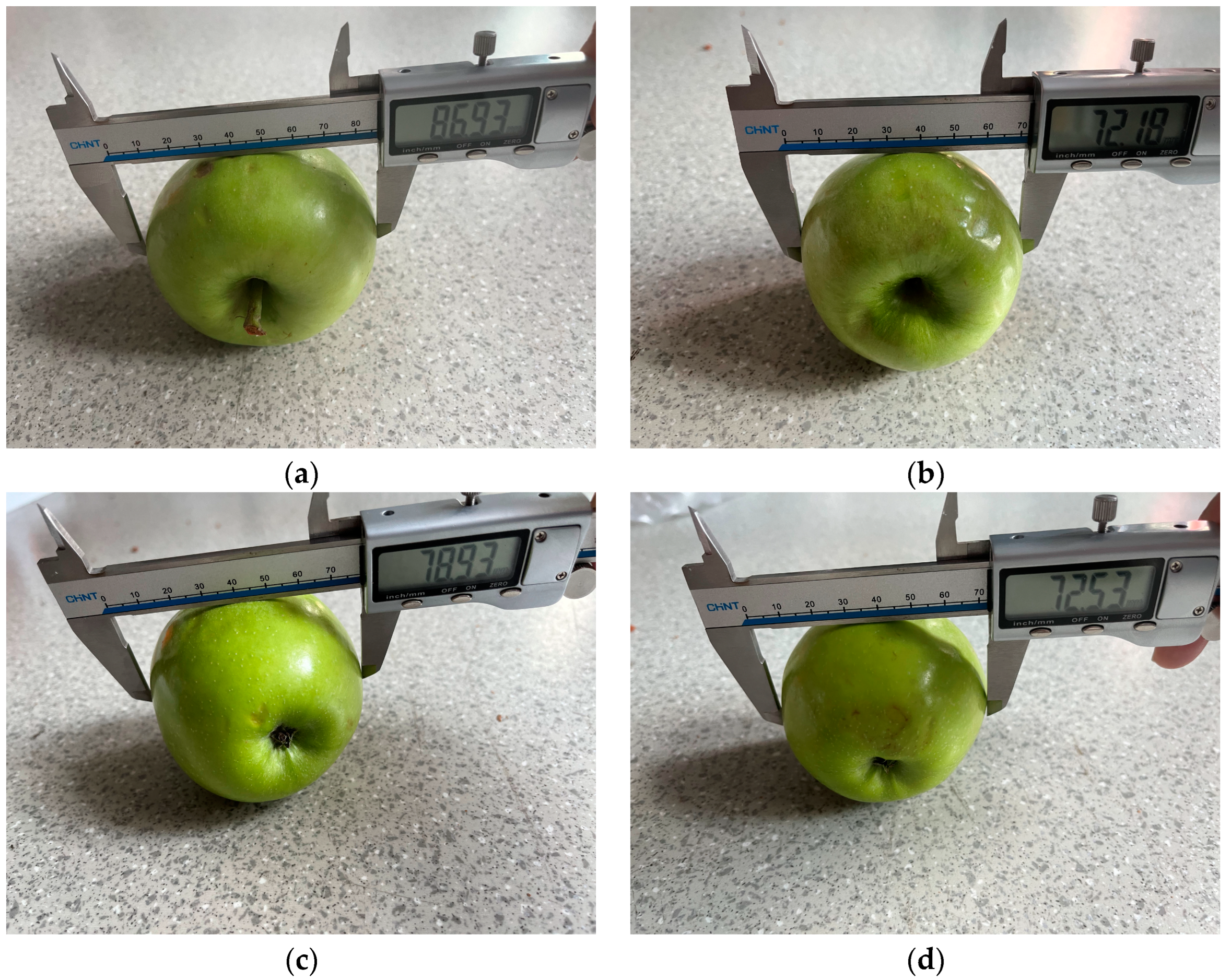 Biomimetics 09 00495 g017