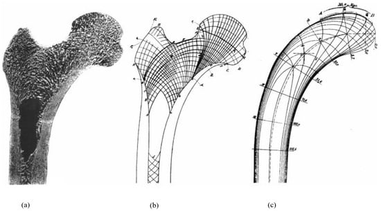 Biomimetics 09 00545 g008