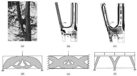 Biomimetics 09 00545 g009