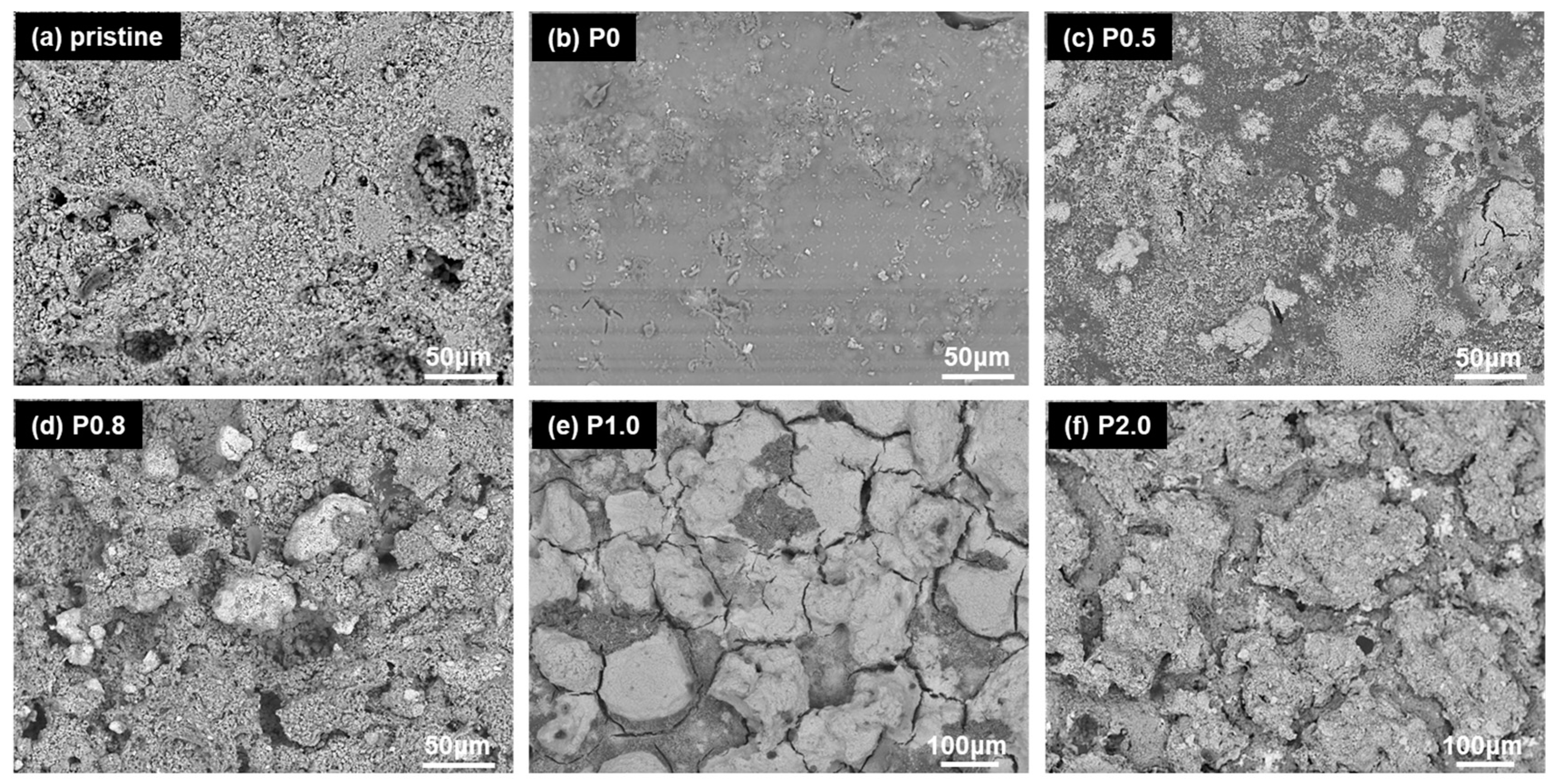 Biomimetics 09 00573 g001