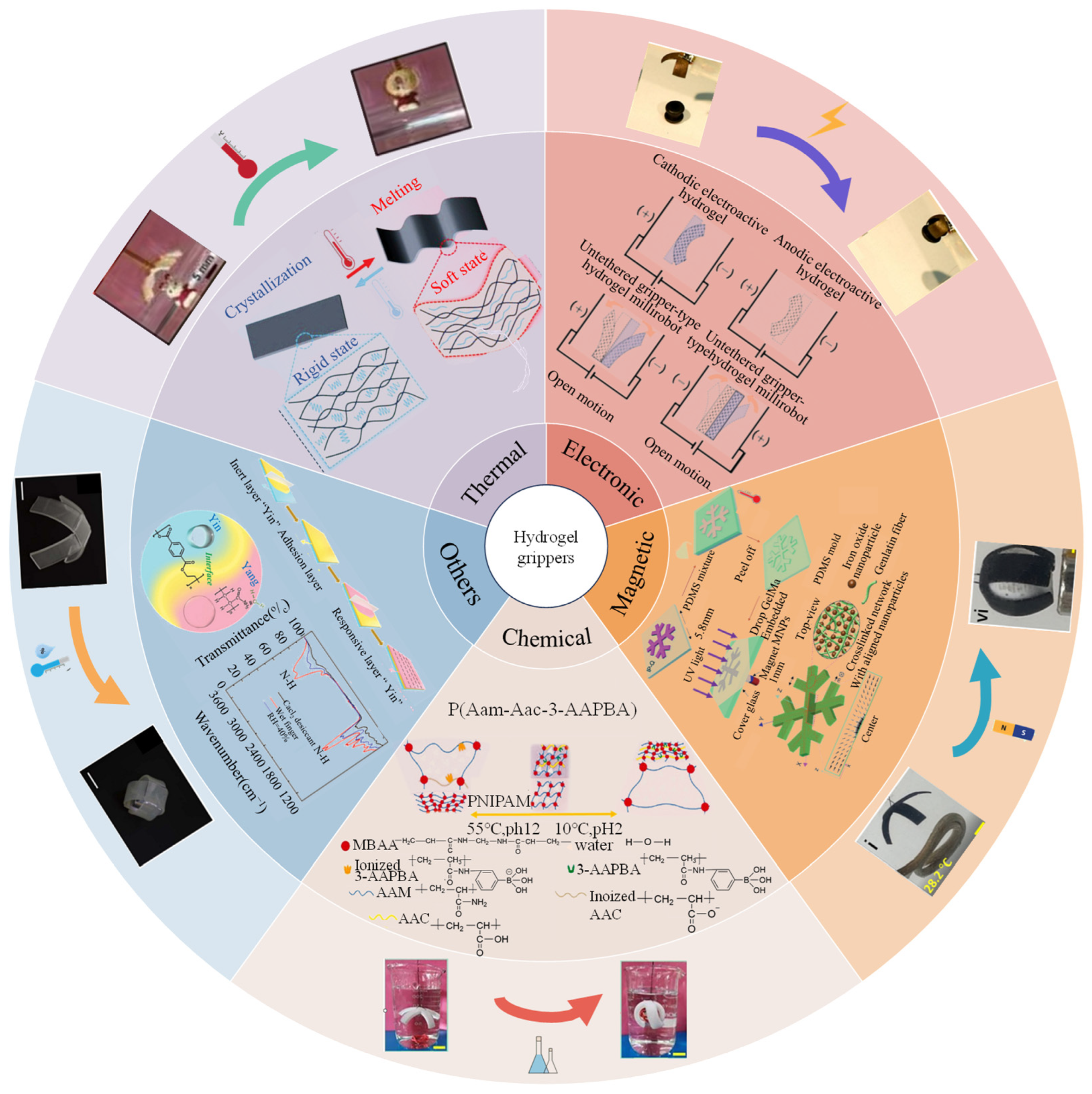 Biomimetics 09 00585 g001