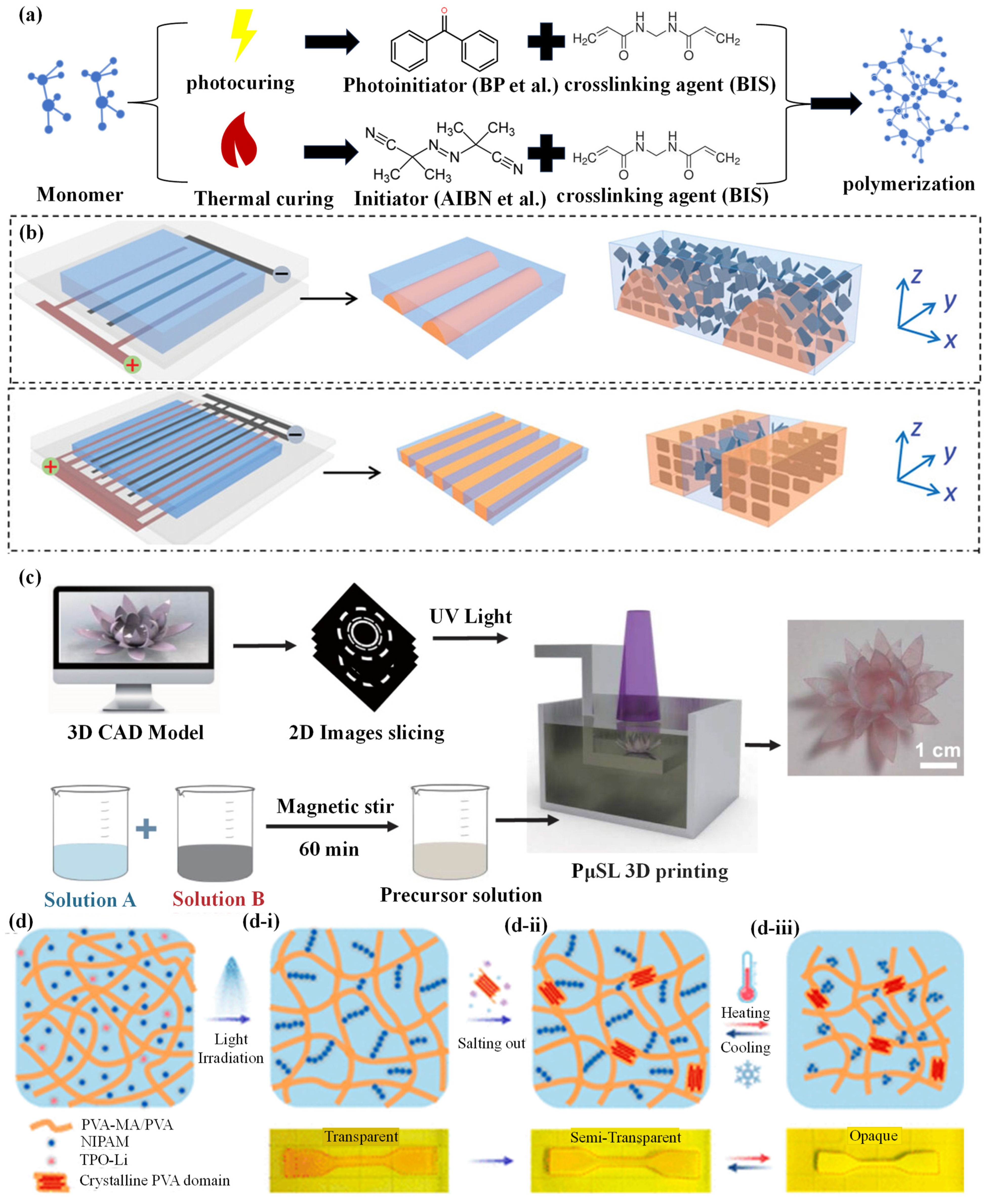 Biomimetics 09 00585 g003