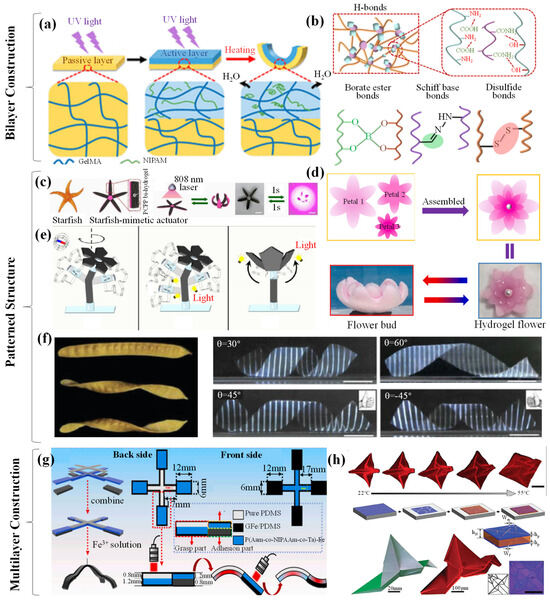 Biomimetics 09 00585 g004