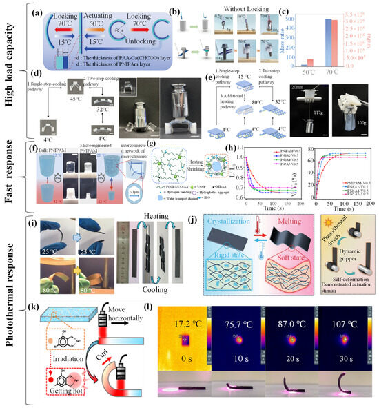 Biomimetics 09 00585 g006