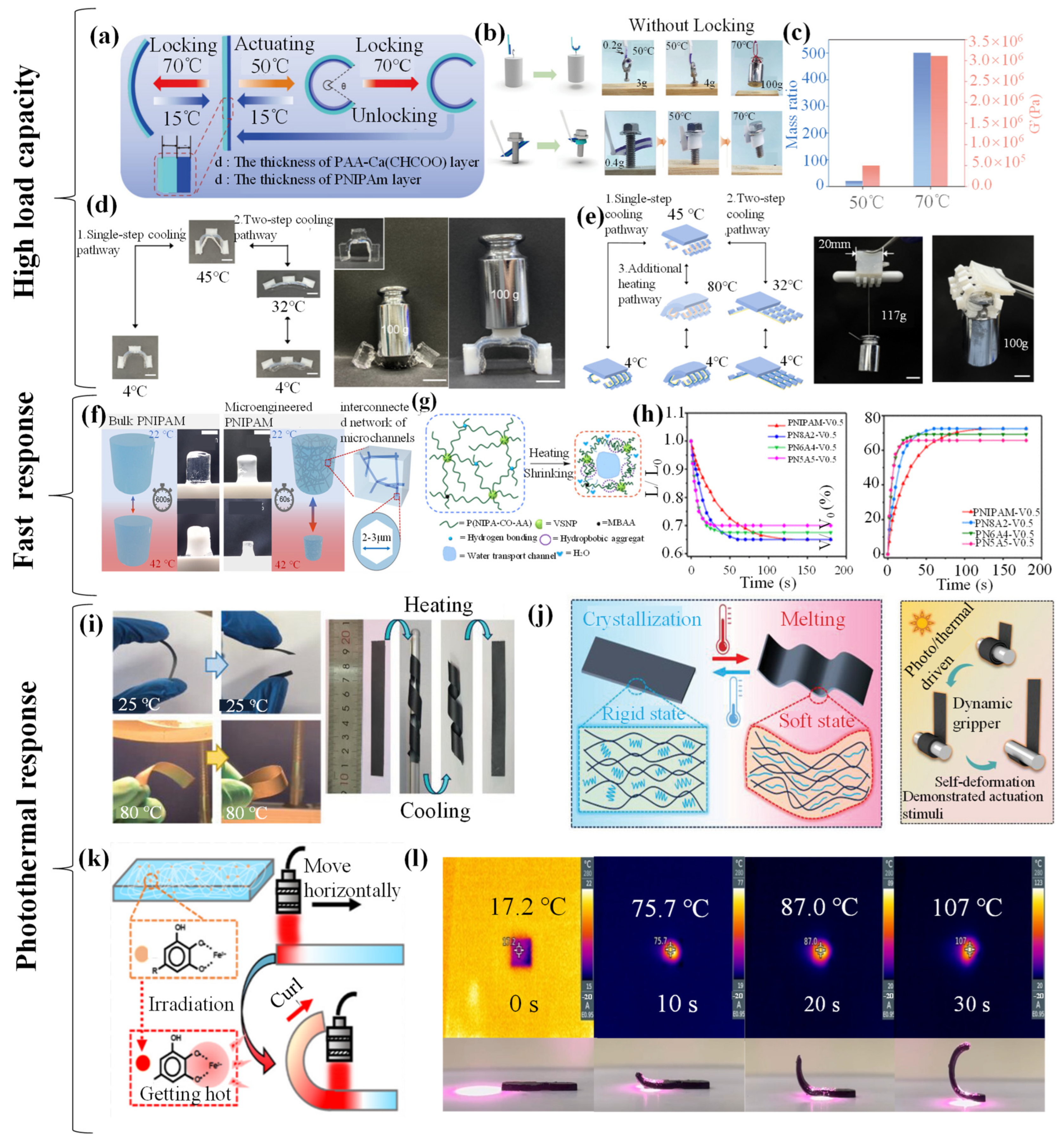 Biomimetics 09 00585 g006
