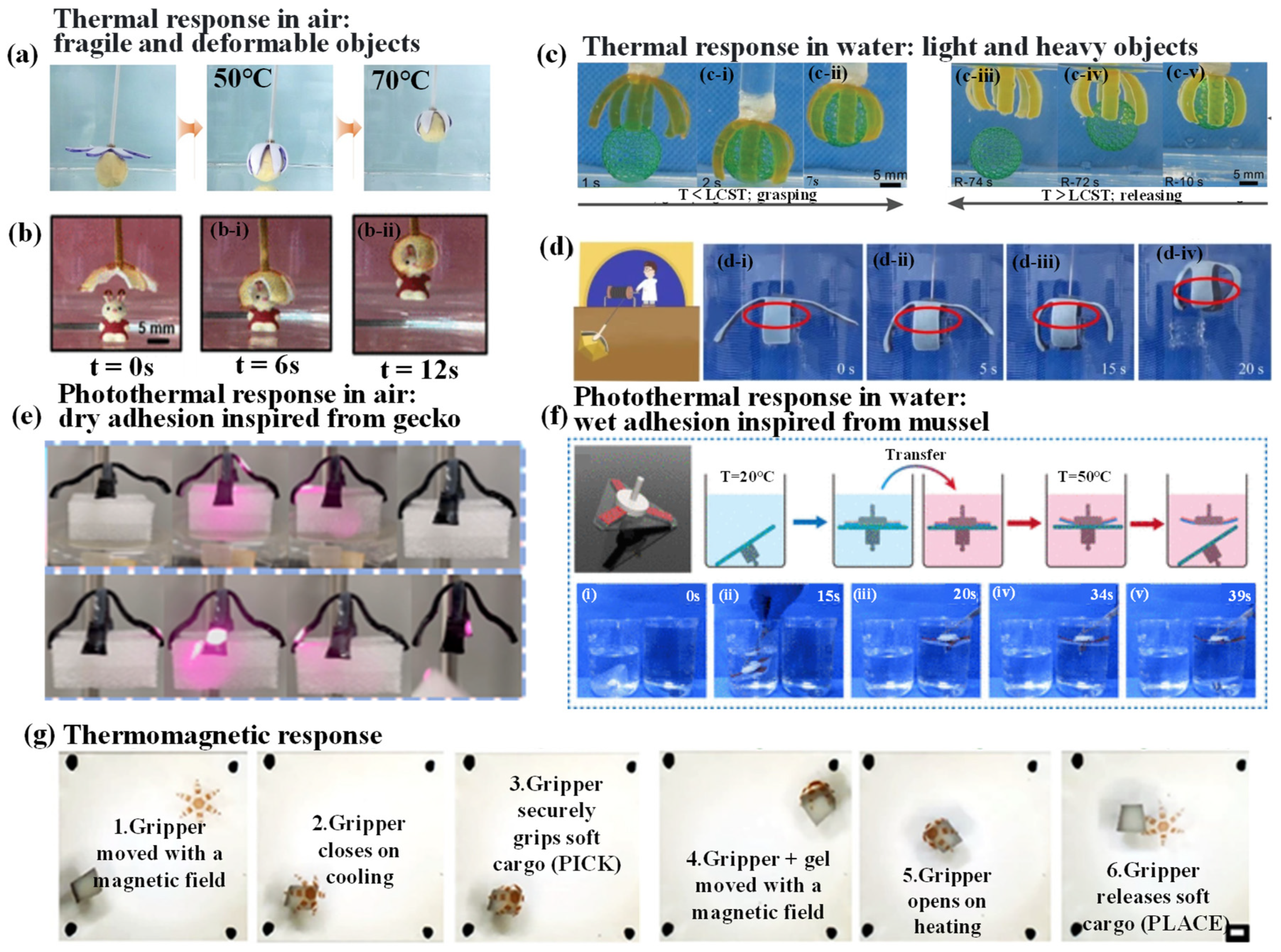 Biomimetics 09 00585 g007