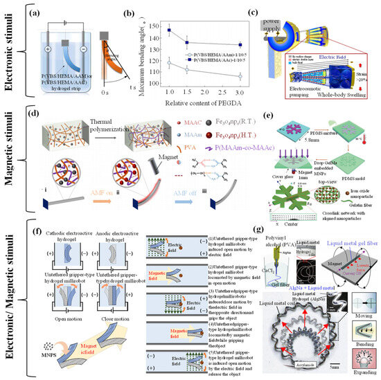 Biomimetics 09 00585 g008