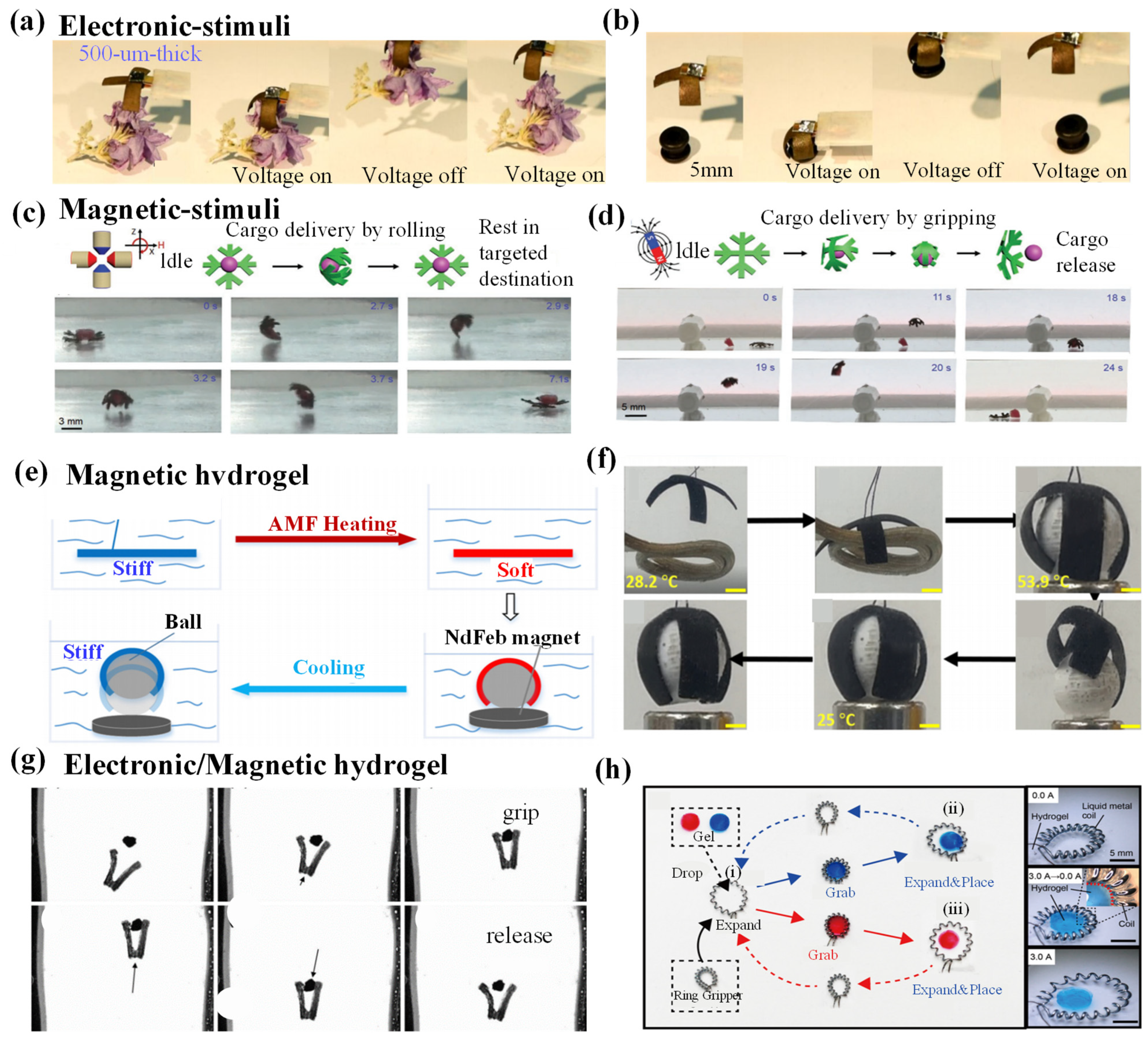 Biomimetics 09 00585 g009