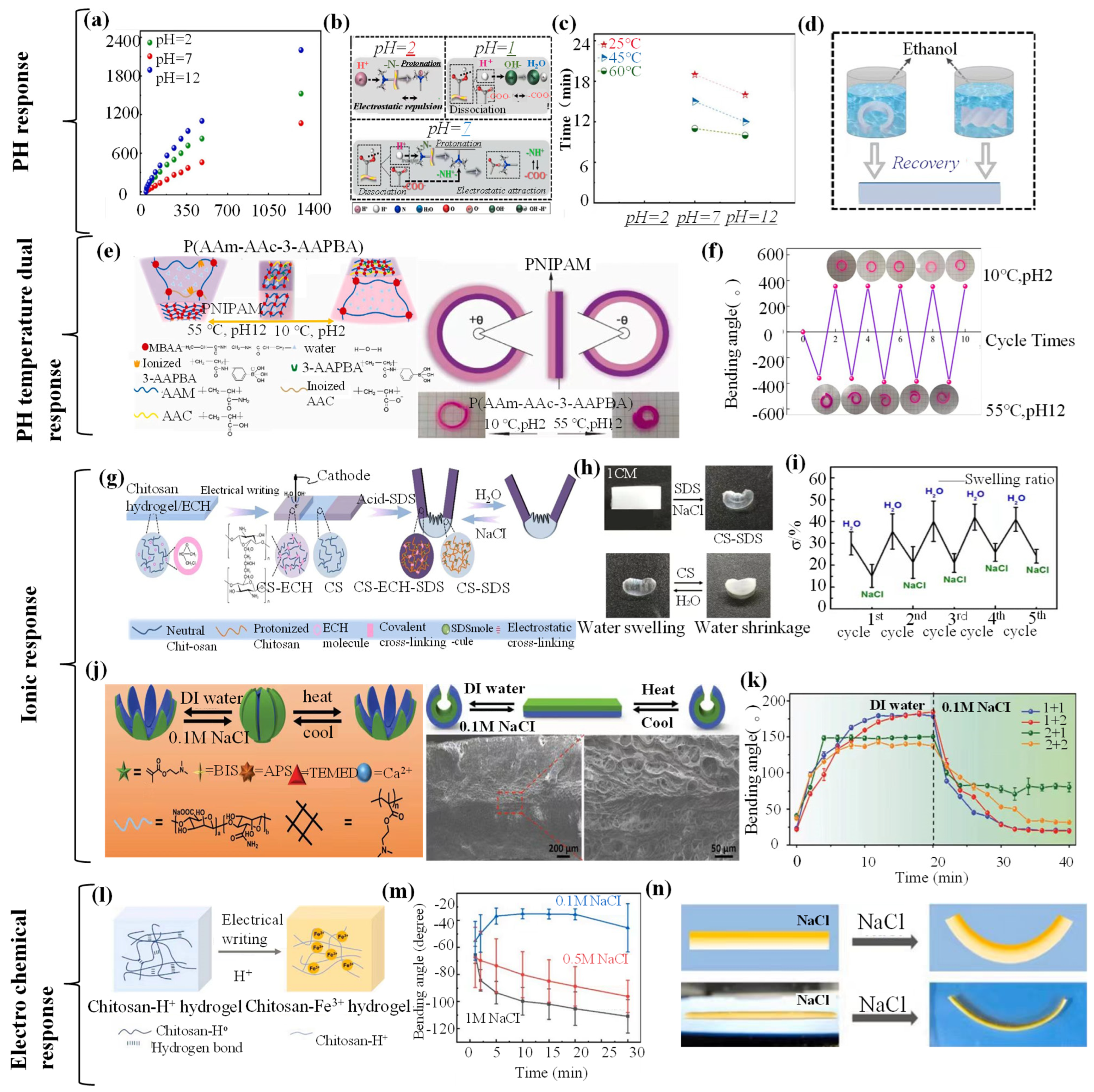 Biomimetics 09 00585 g010