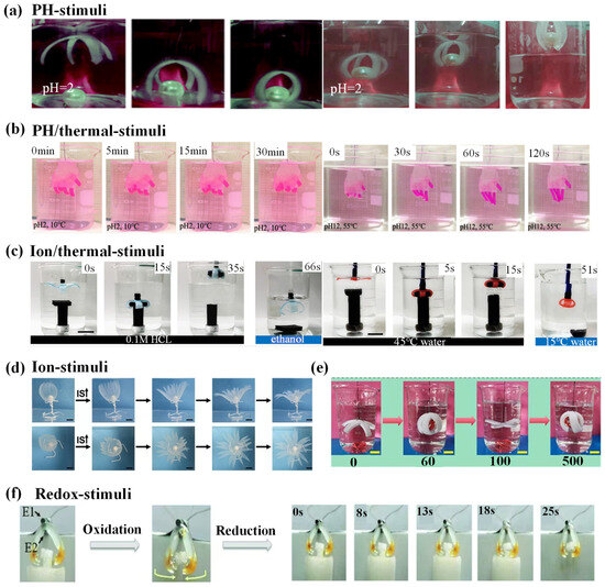 Biomimetics 09 00585 g011