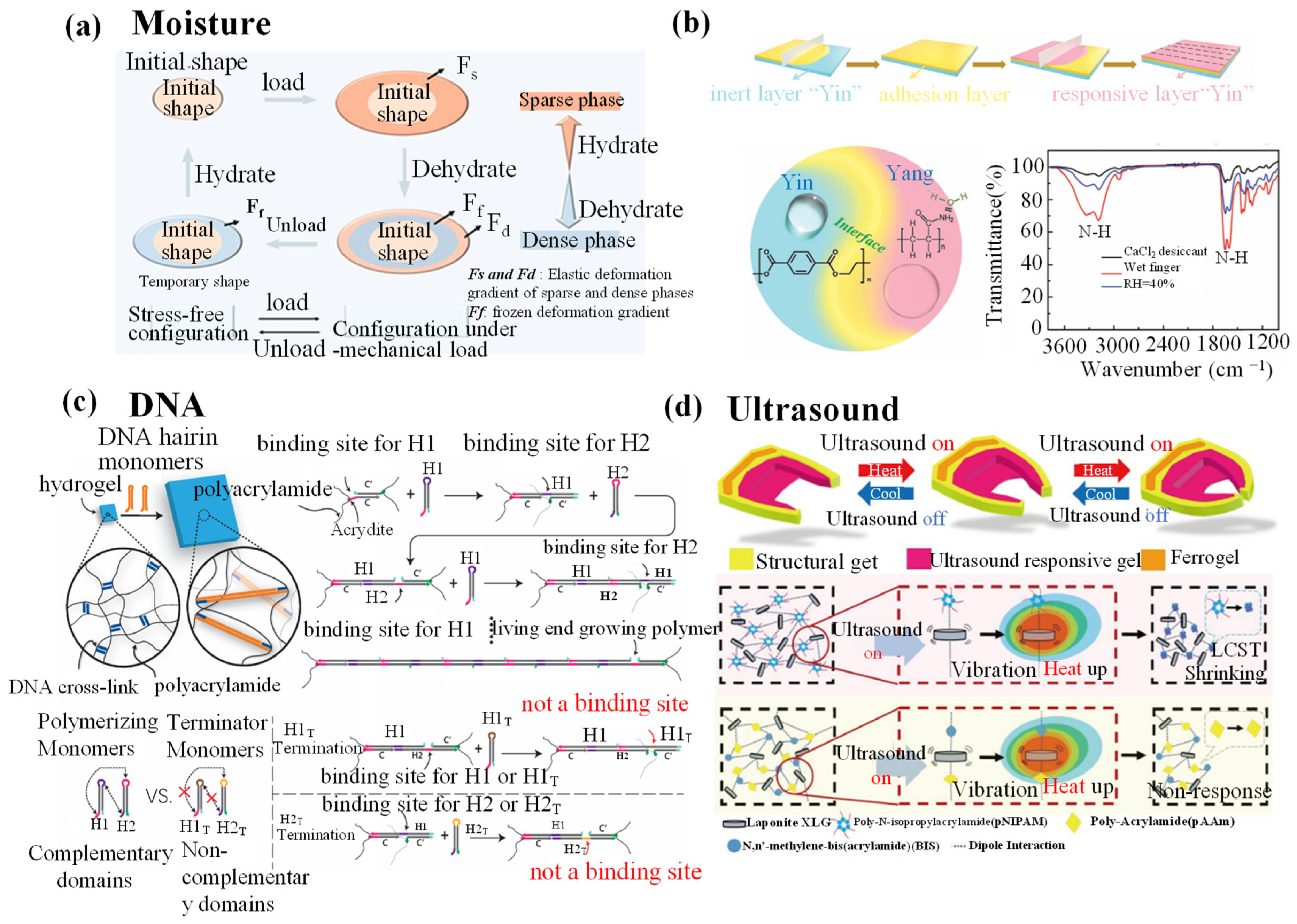 Biomimetics 09 00585 g012