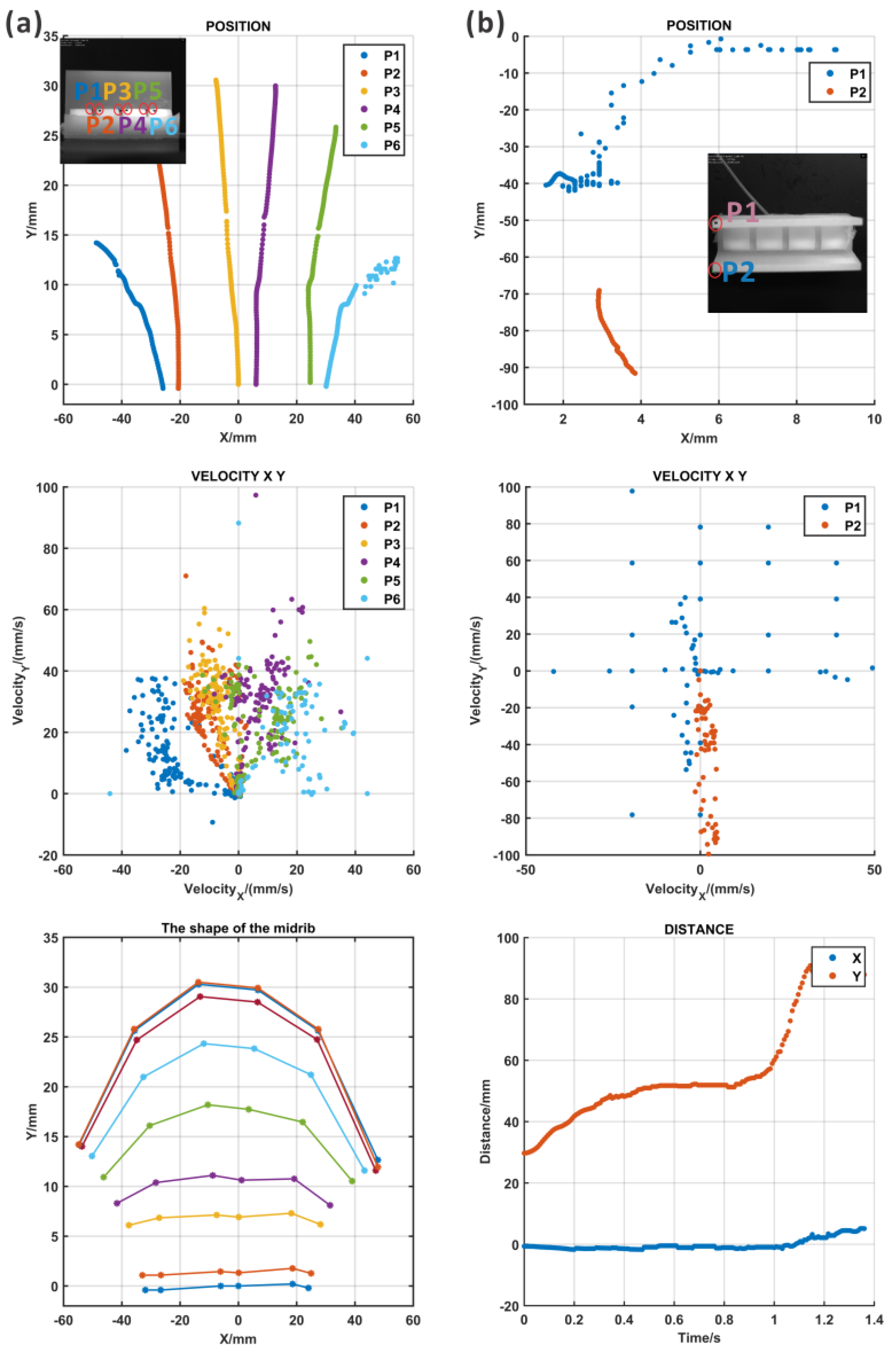Biomimetics 09 00597 g007