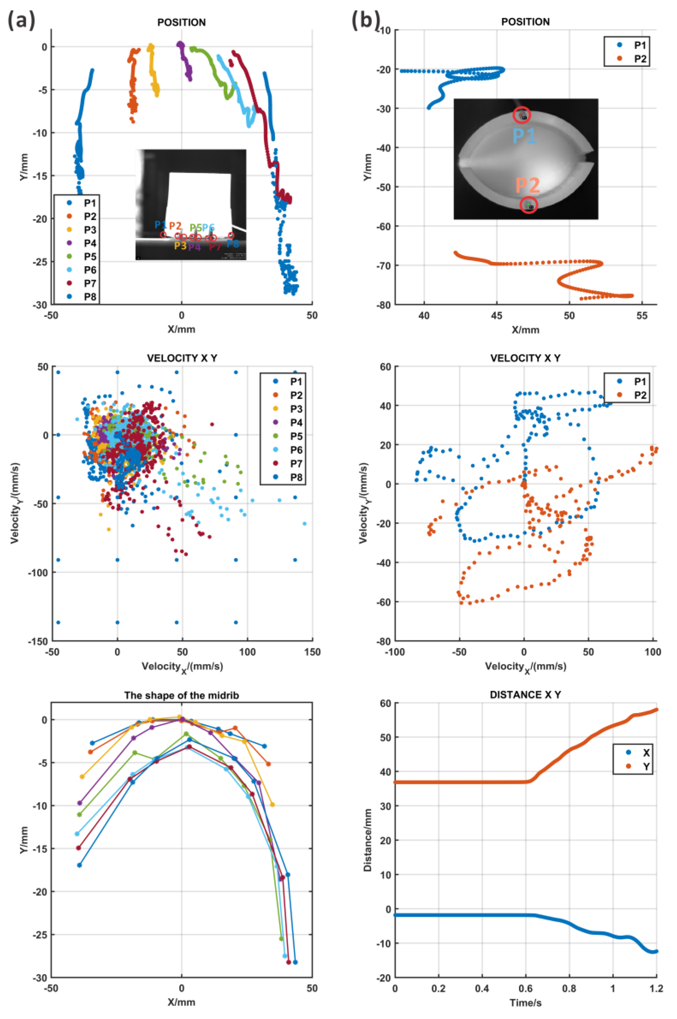 Biomimetics 09 00597 g008